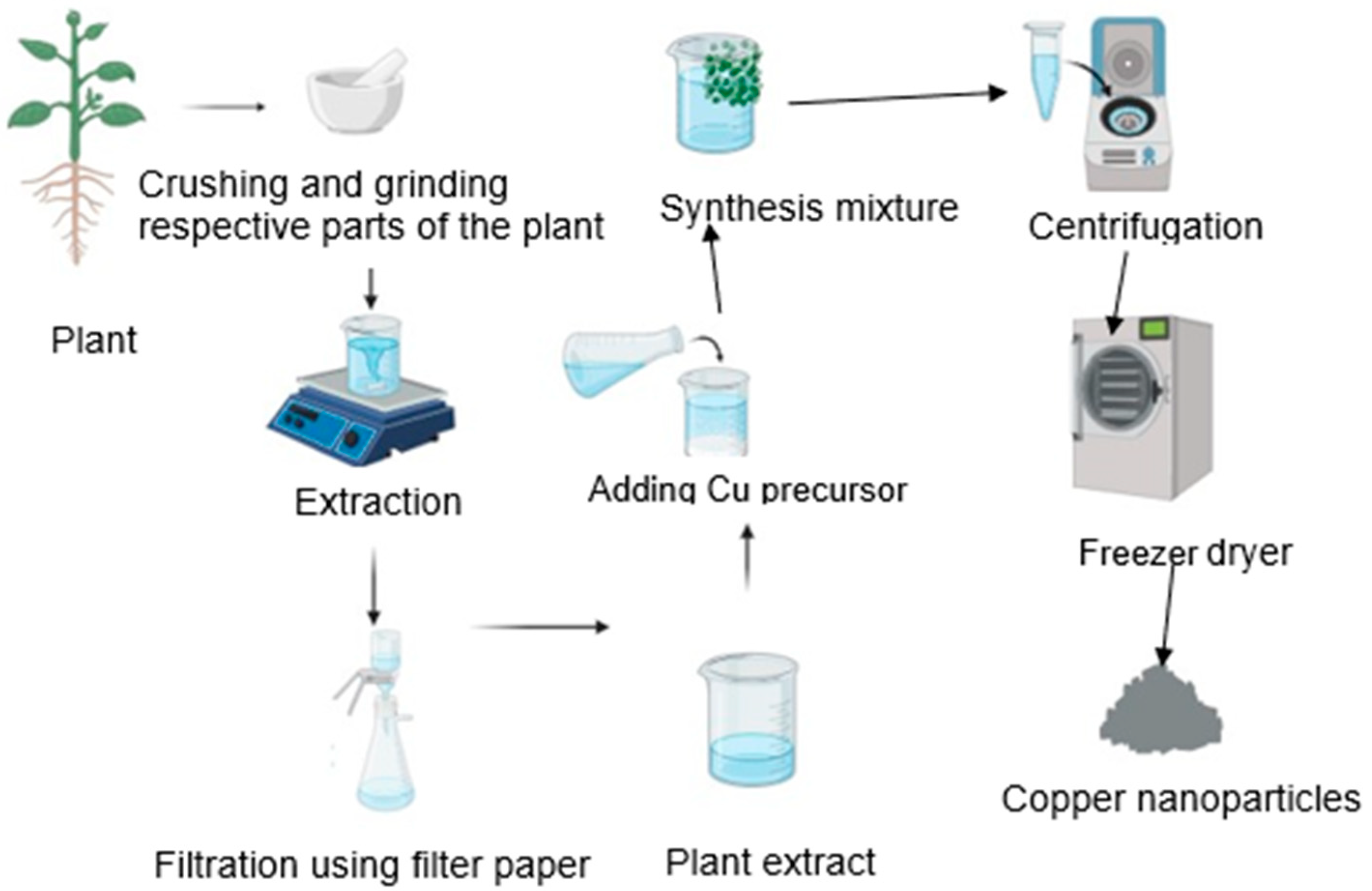 Bioengineering 11 01007 g001