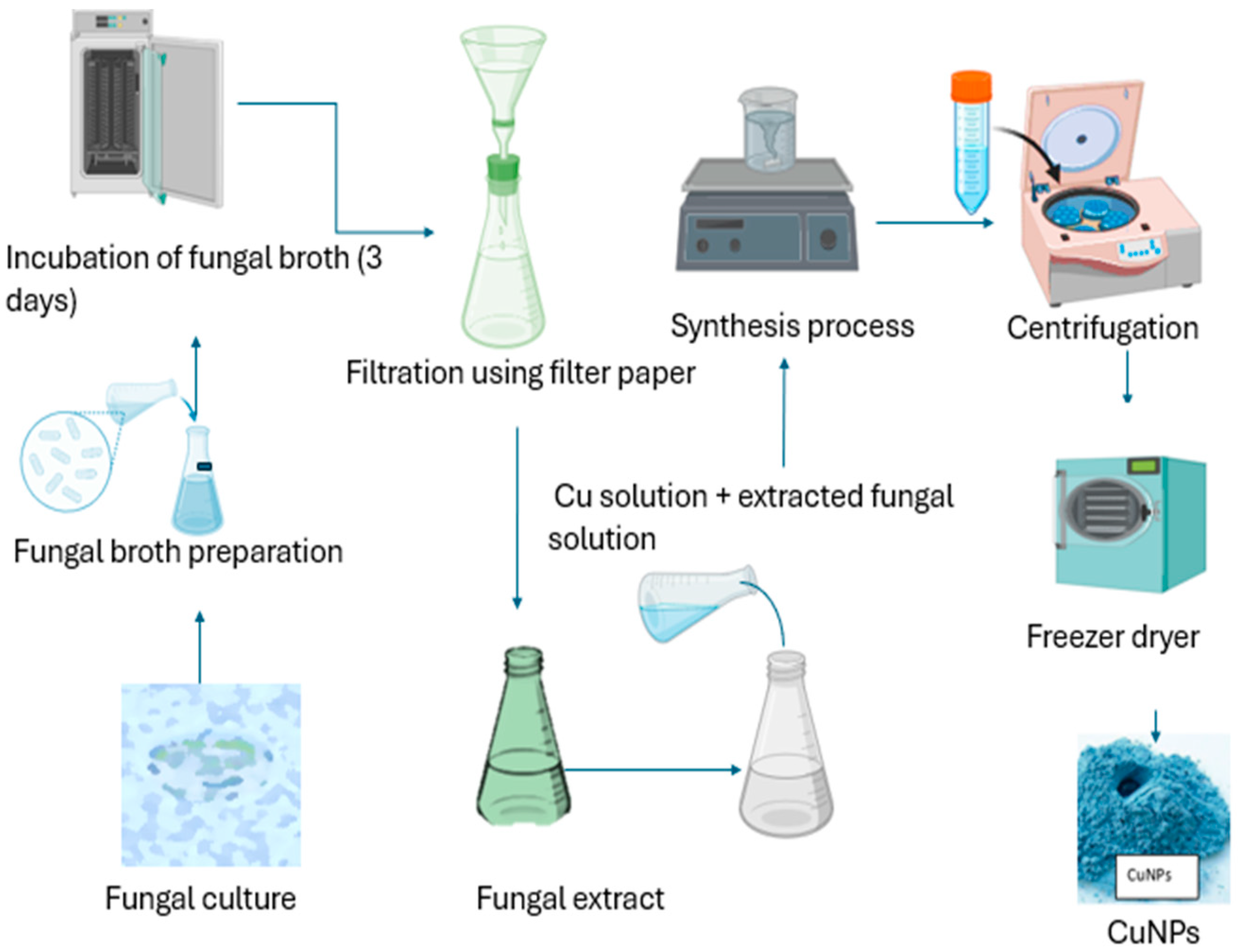 Bioengineering 11 01007 g003