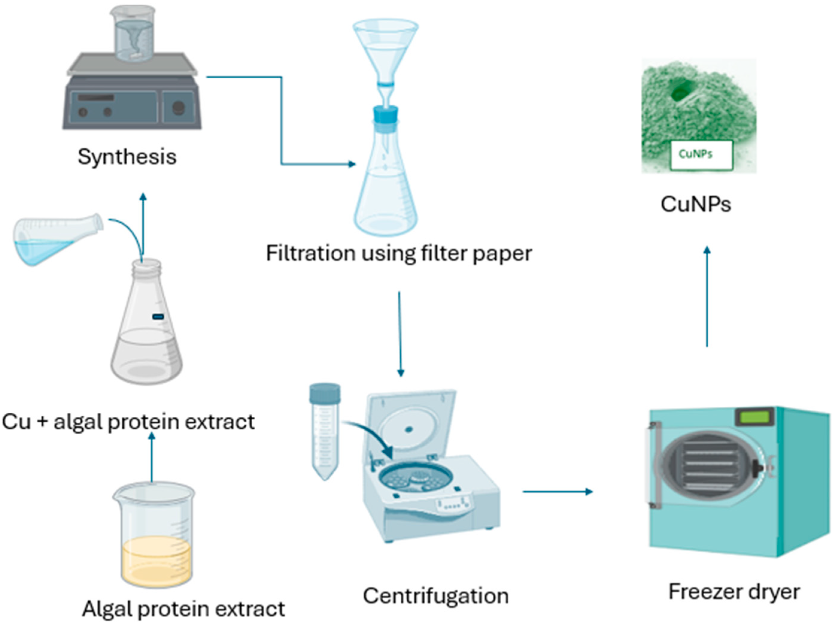 Bioengineering 11 01007 g004