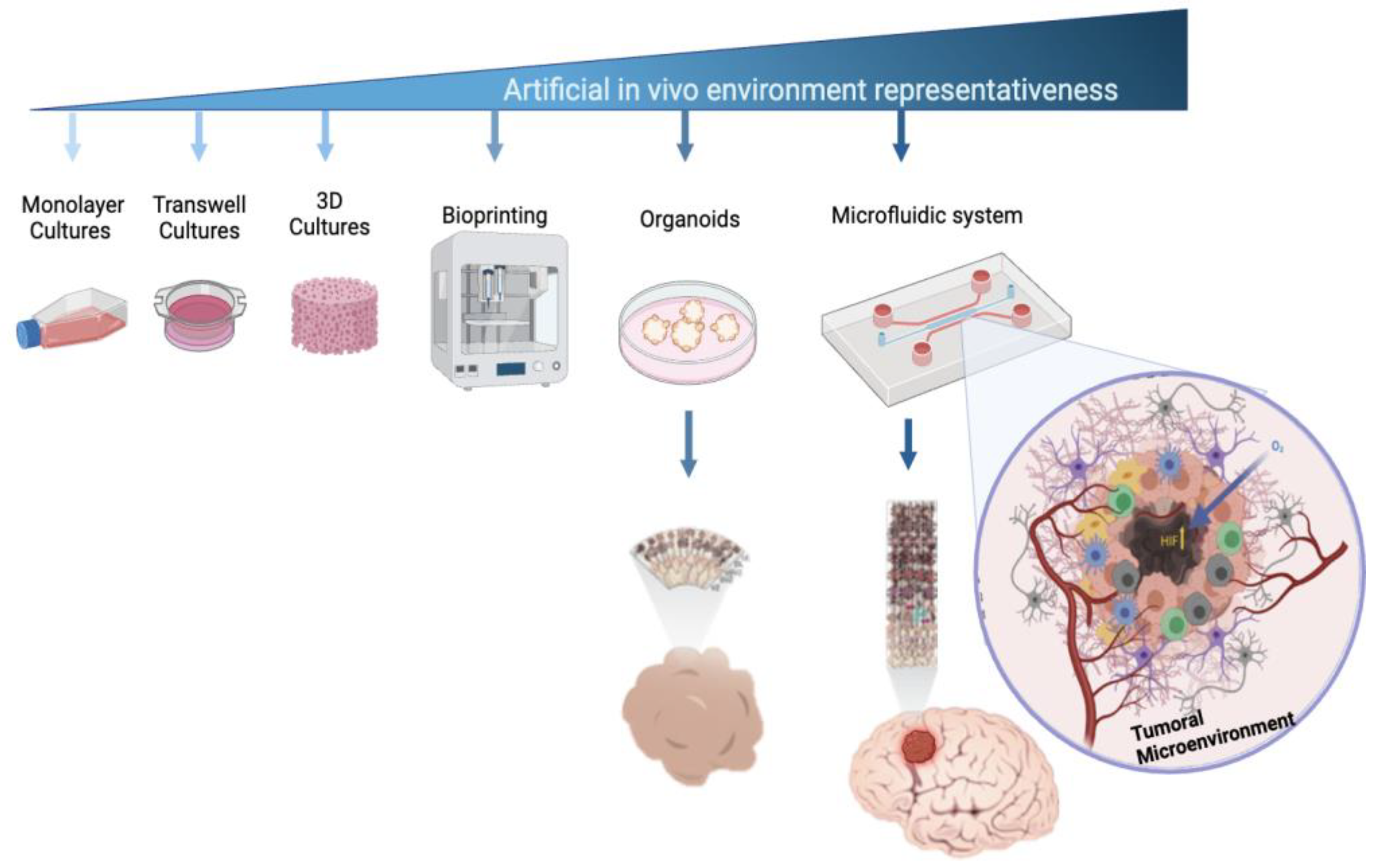 Bioengineering 11 01008 g001