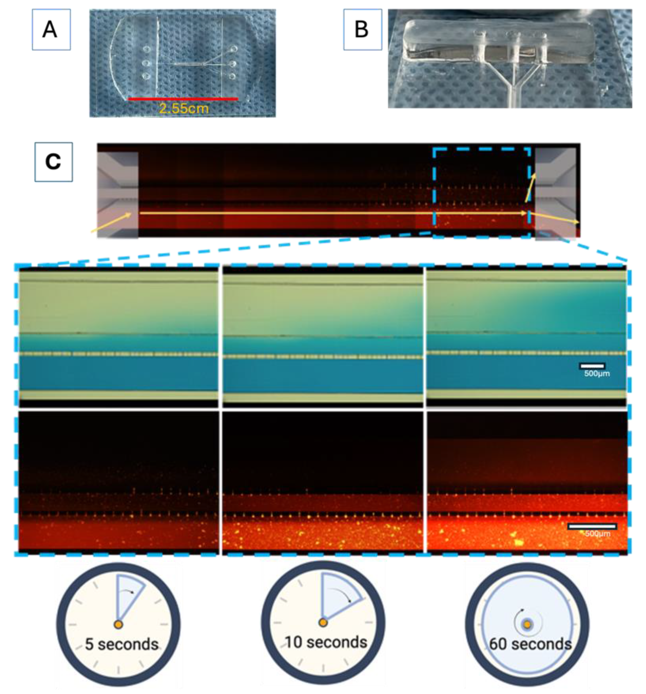 Bioengineering 11 01008 g003