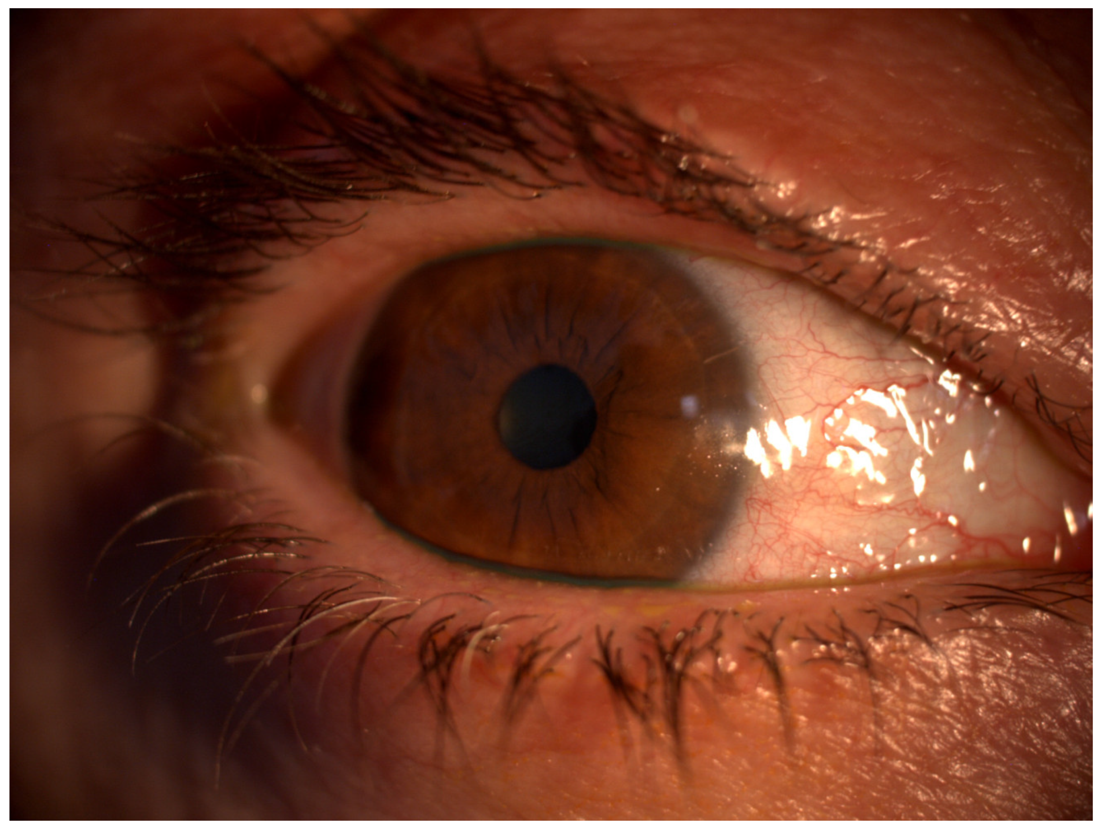 Bioengineering 11 01010 g003 Bioengineering 11 01010 g003