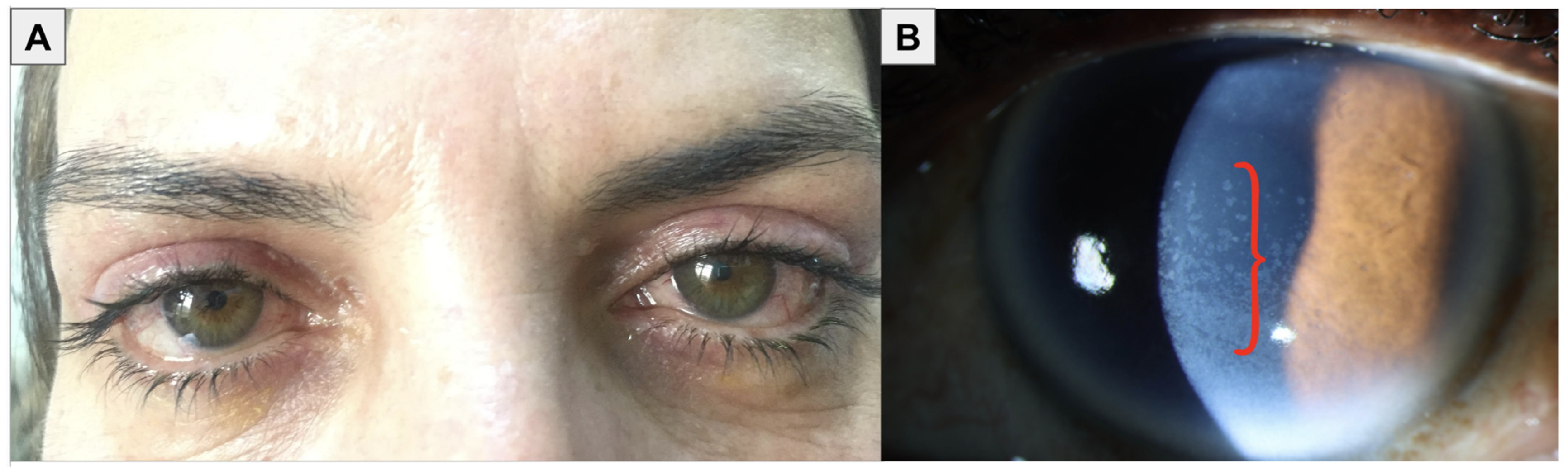 Bioengineering 11 01010 g004 Bioengineering 11 01010 g004