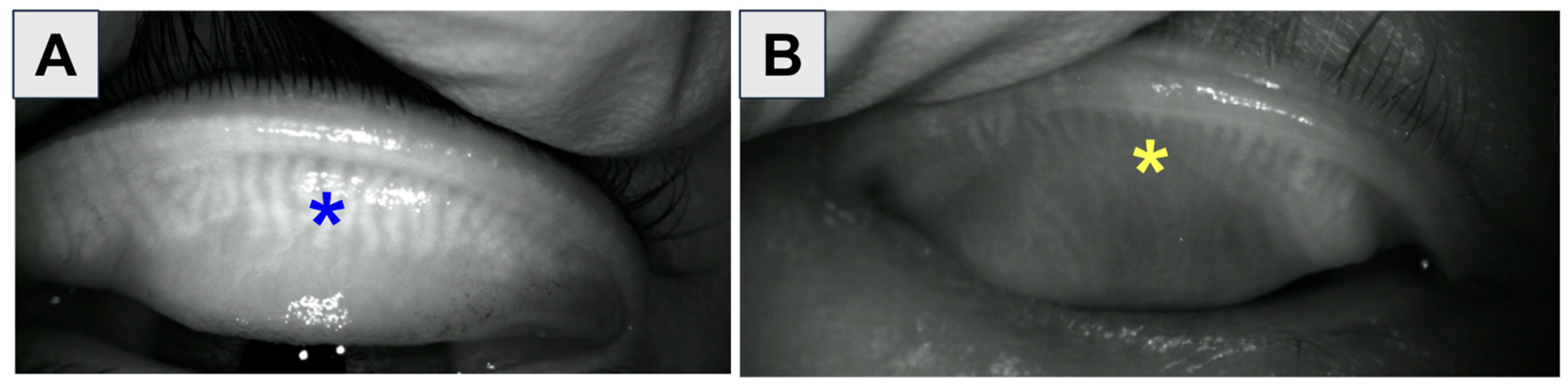 Bioengineering 11 01010 g006 Bioengineering 11 01010 g006