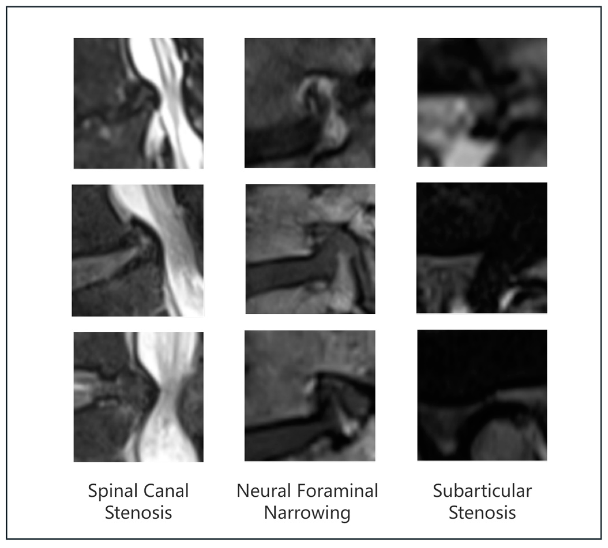 Bioengineering 11 01021 g012