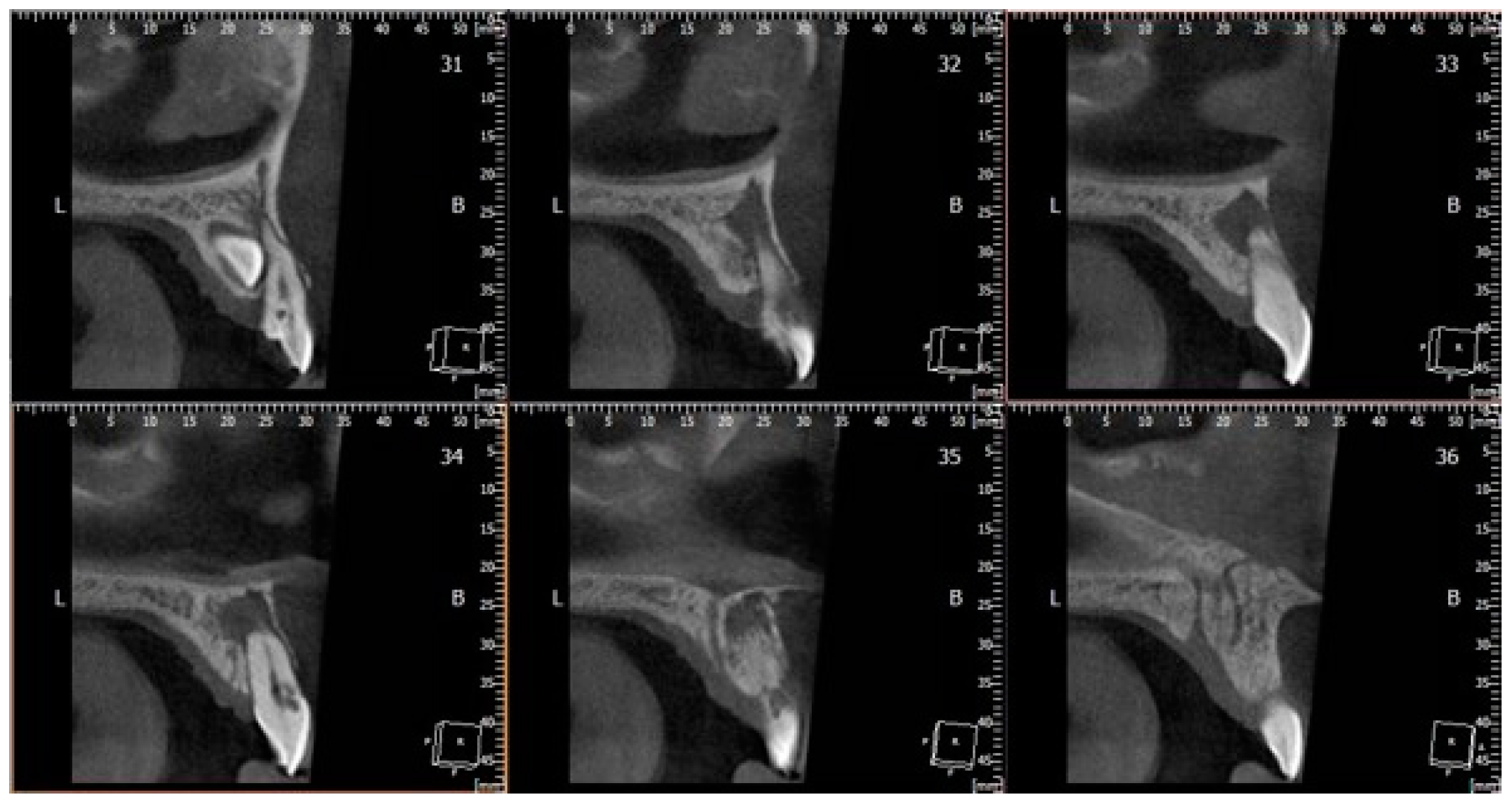 Bioengineering 11 01023 g002