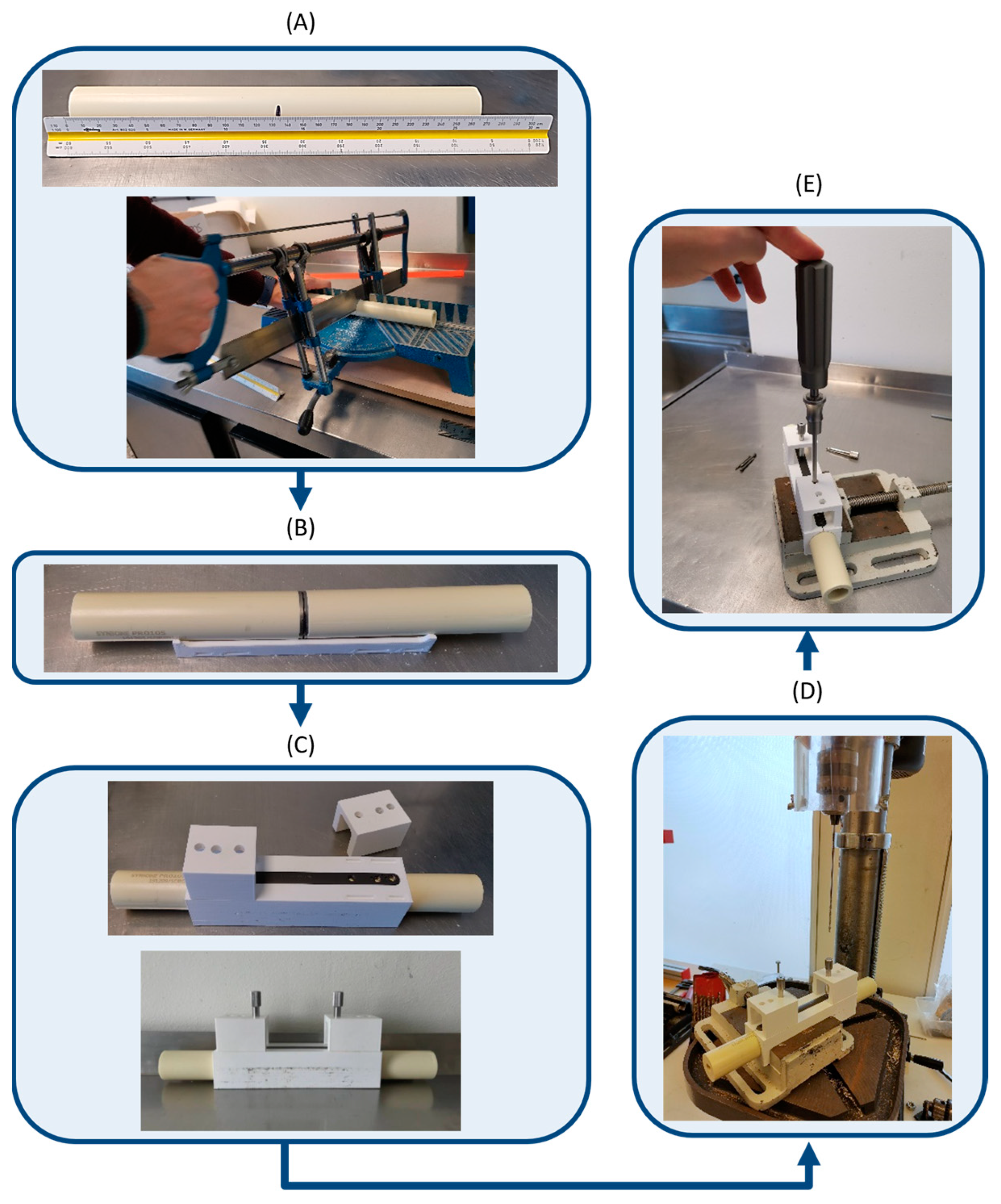 Bioengineering 11 01024 g002