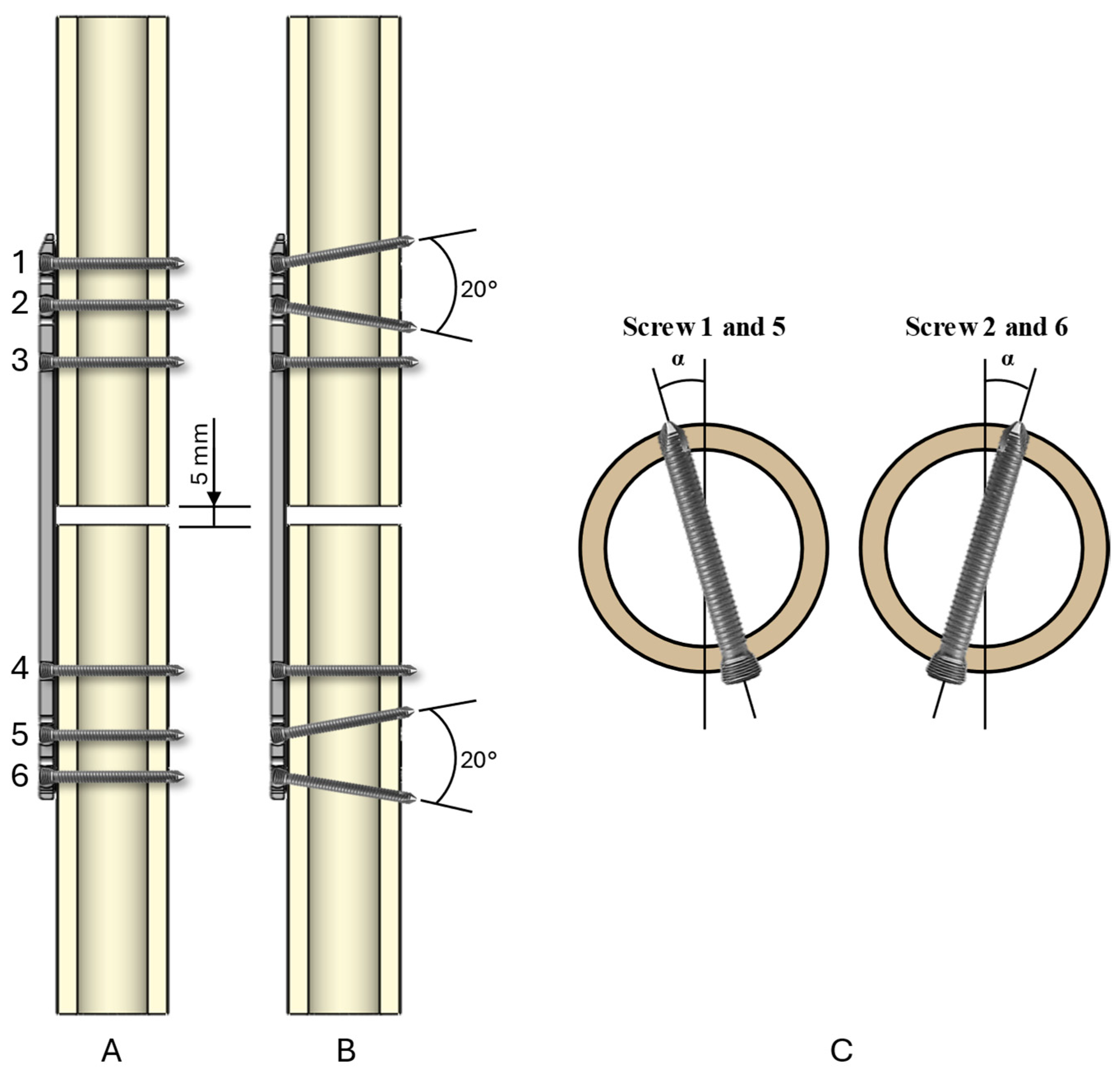 Bioengineering 11 01024 g003