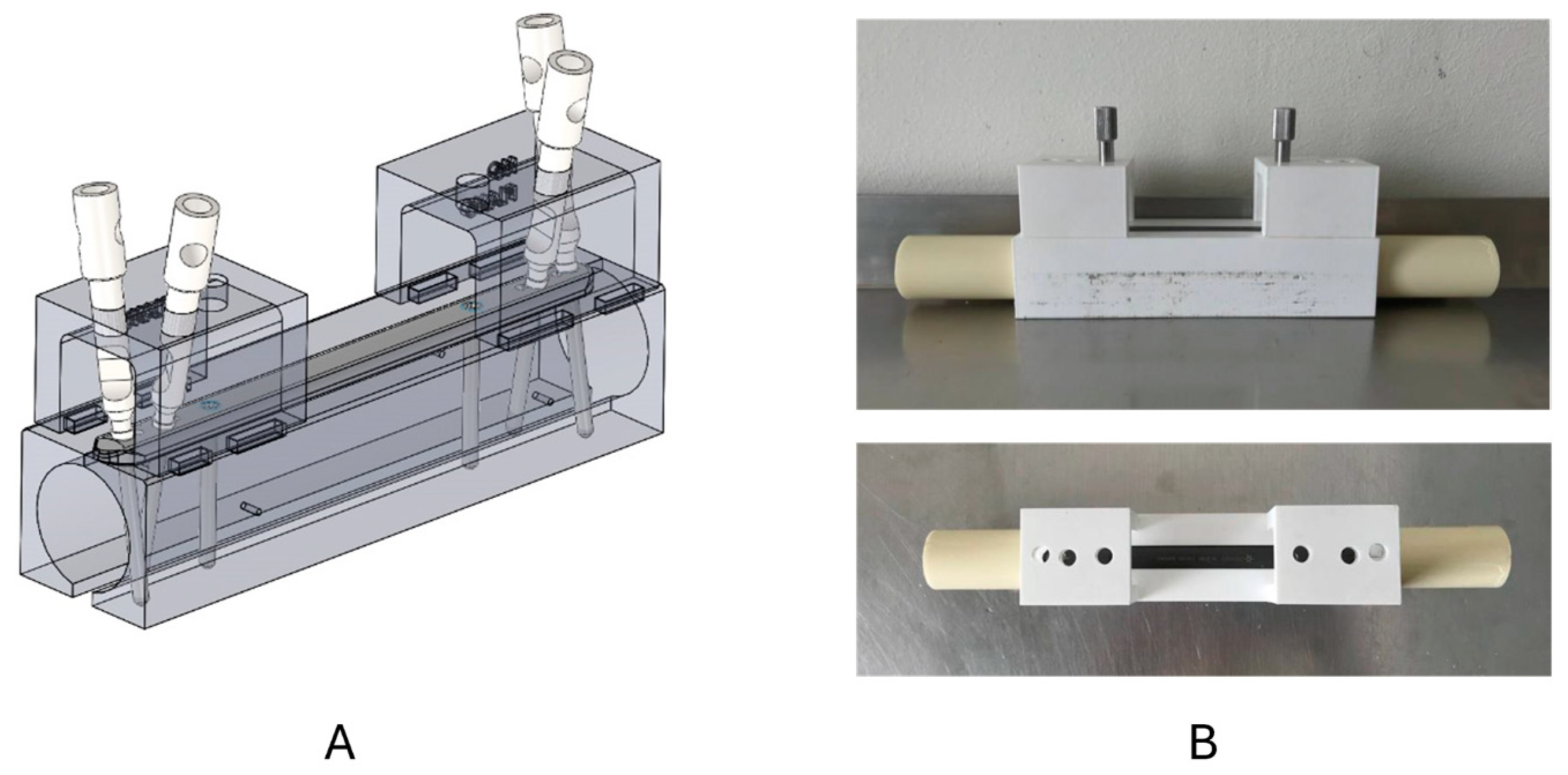 Bioengineering 11 01024 g004