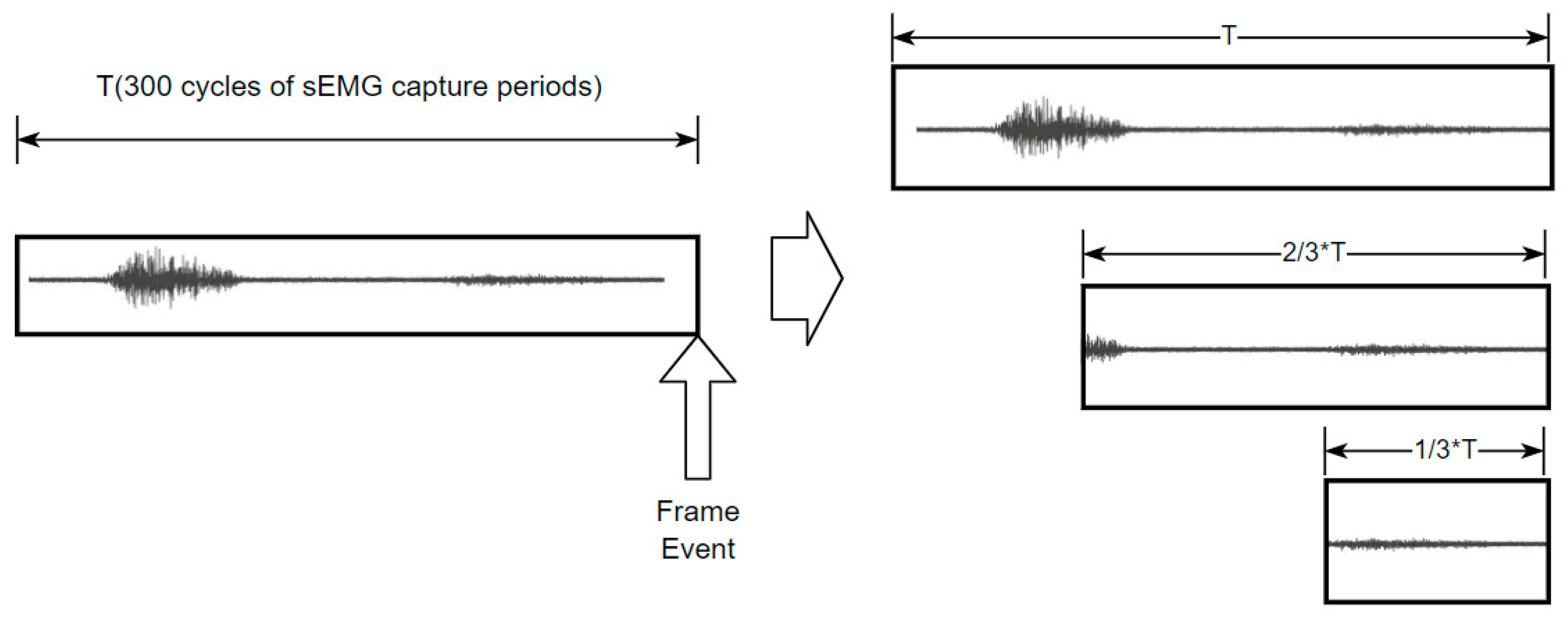 Bioengineering 11 01026 g002