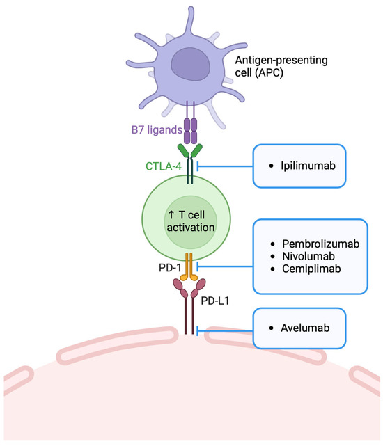Targeted Drug Delivery in Periorbital Non-Melanocytic Skin Malignancies