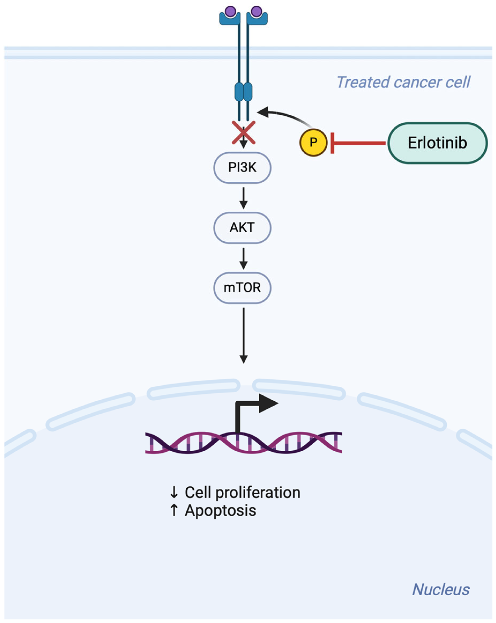 Bioengineering 11 01029 g003