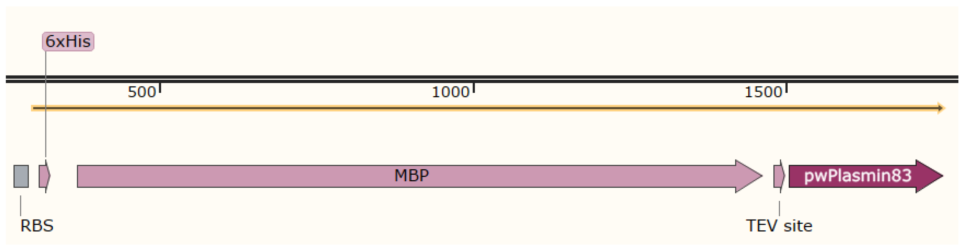 Bioengineering 11 01030 g001