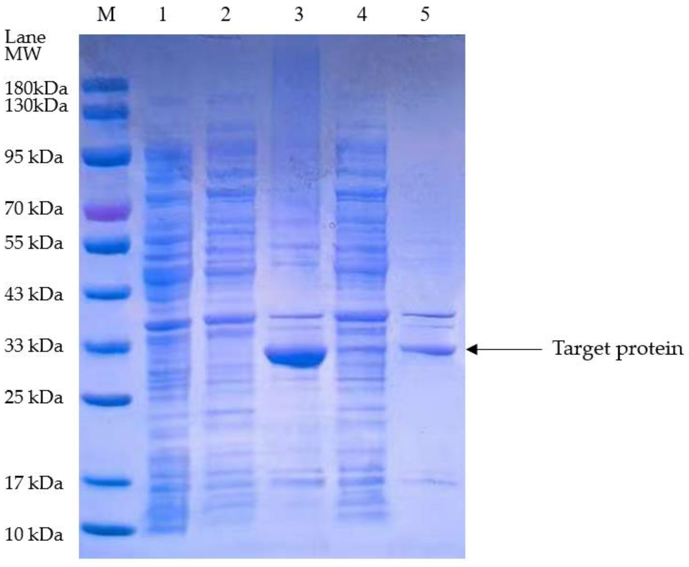 Bioengineering 11 01030 g002