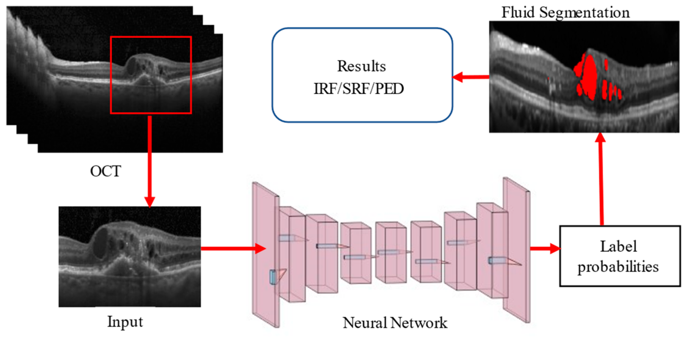 Bioengineering 11 01032 g001