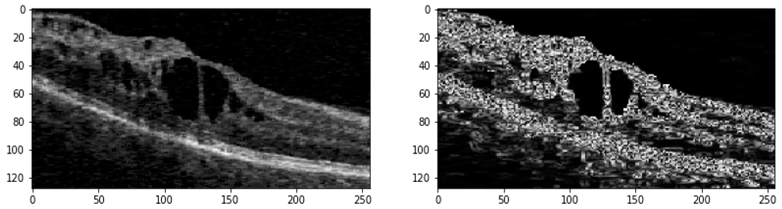 Bioengineering 11 01032 g002
