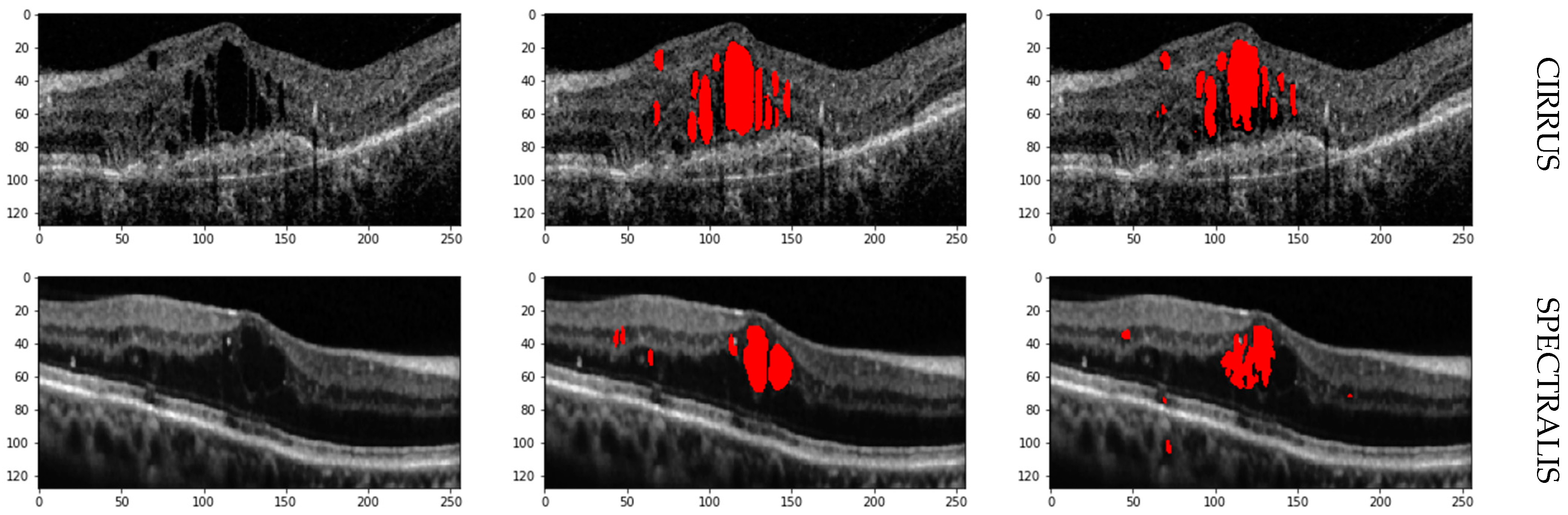 Bioengineering 11 01032 g008a