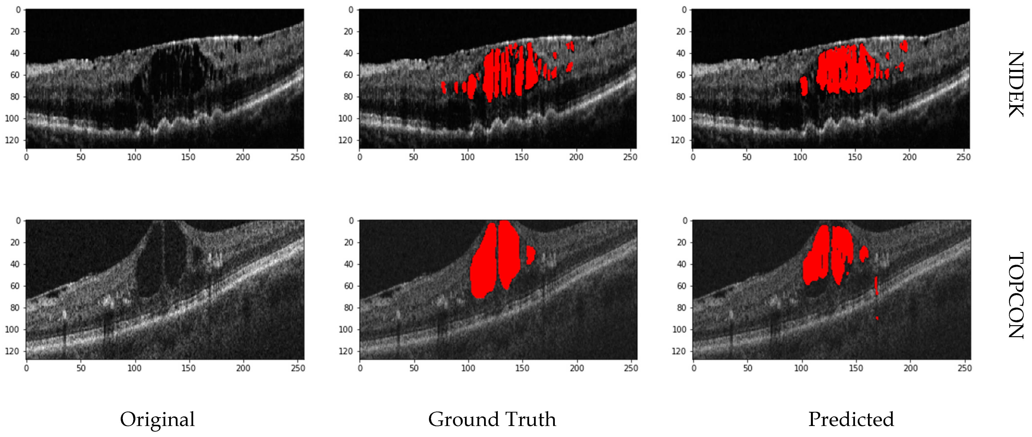 Bioengineering 11 01032 g008b