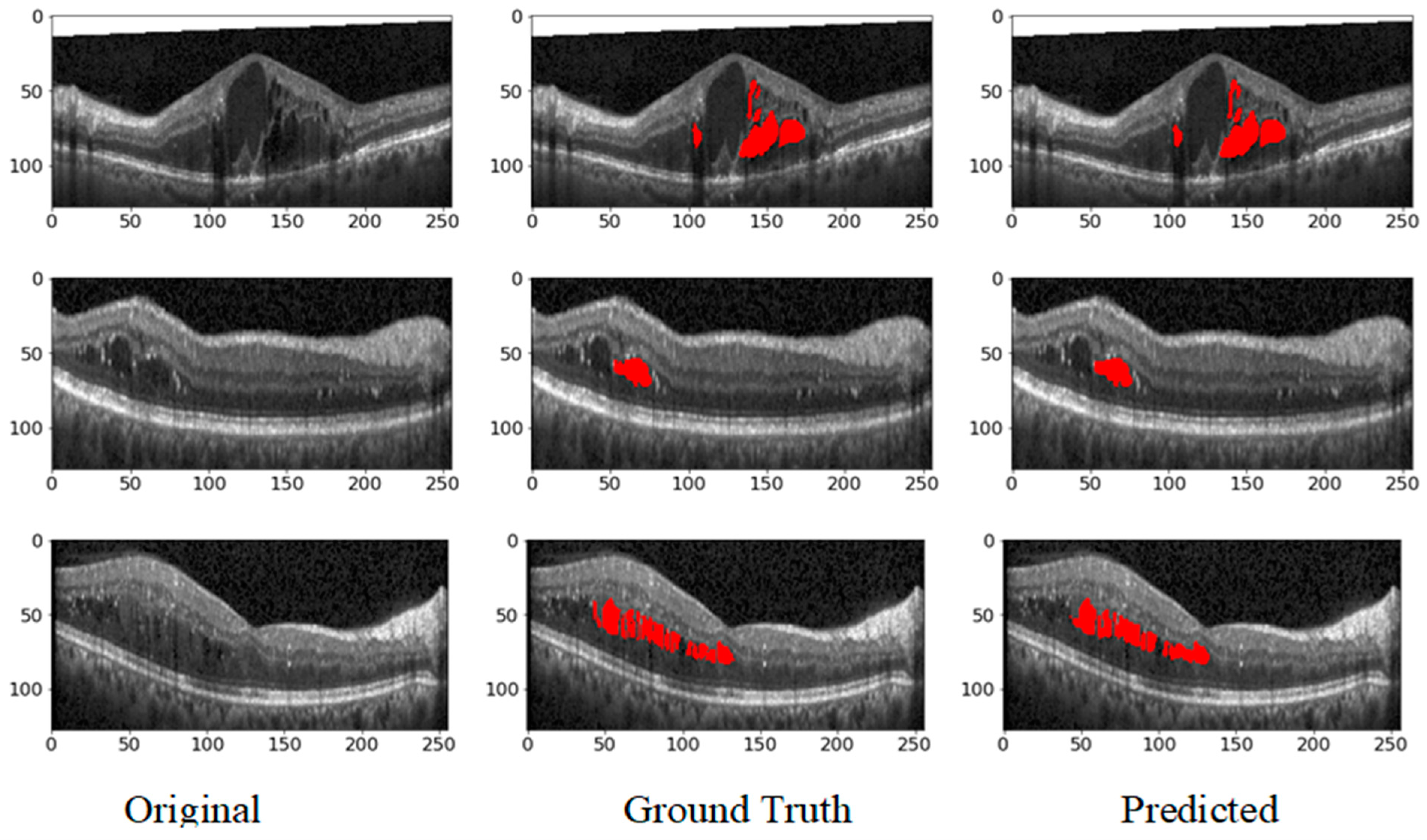 Bioengineering 11 01032 g009