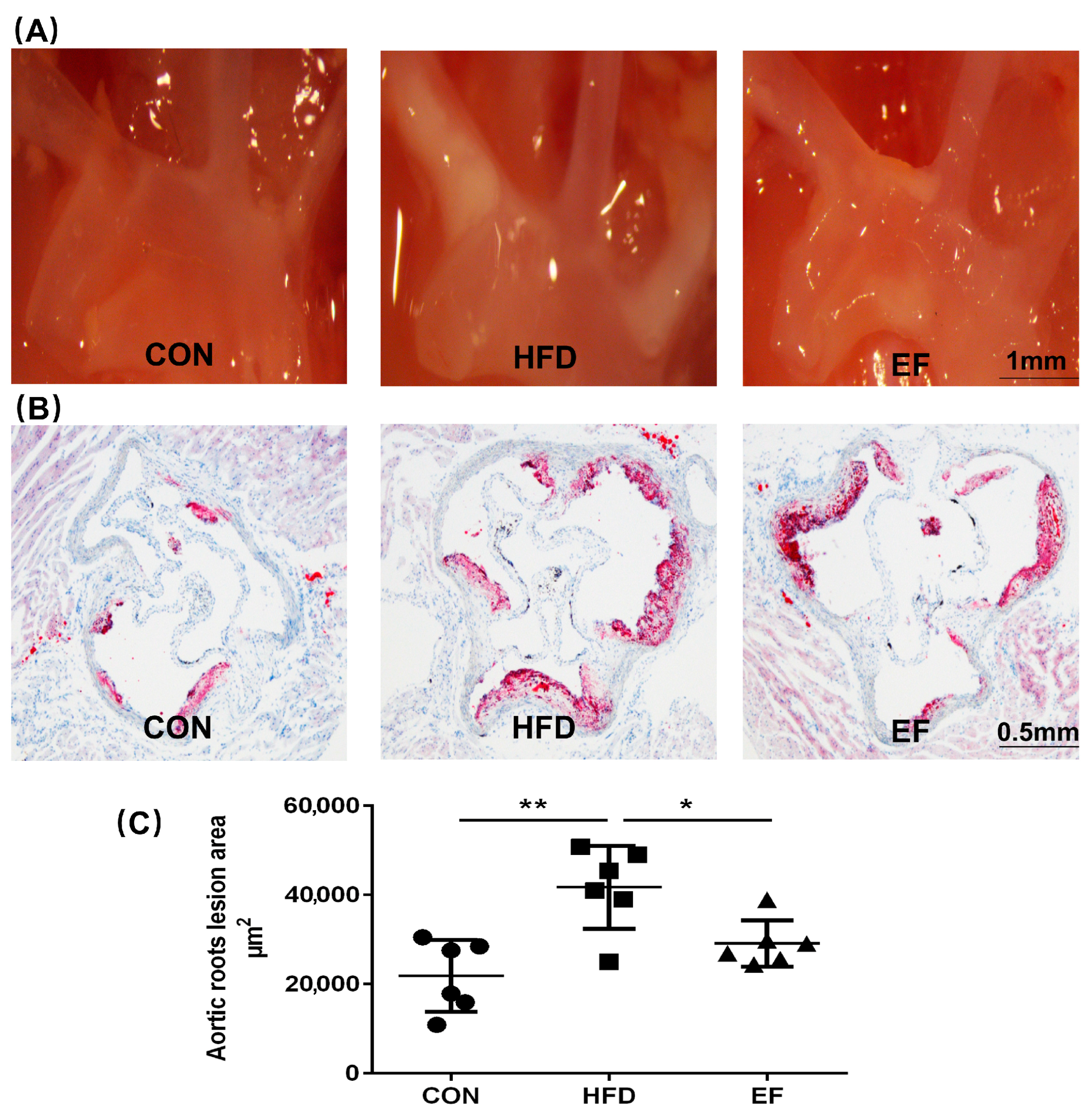 Bioengineering 11 01033 g001