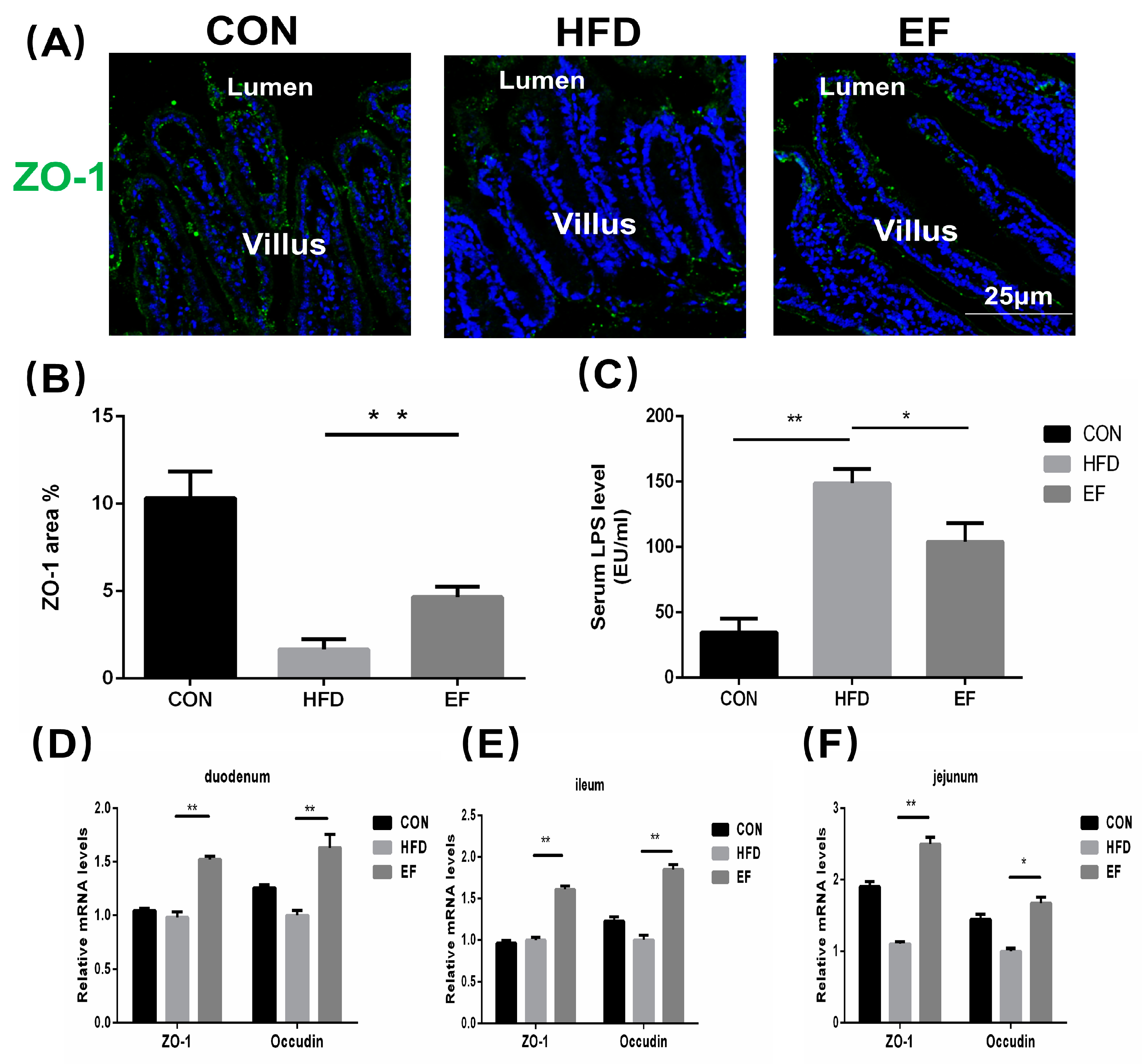 Bioengineering 11 01033 g003