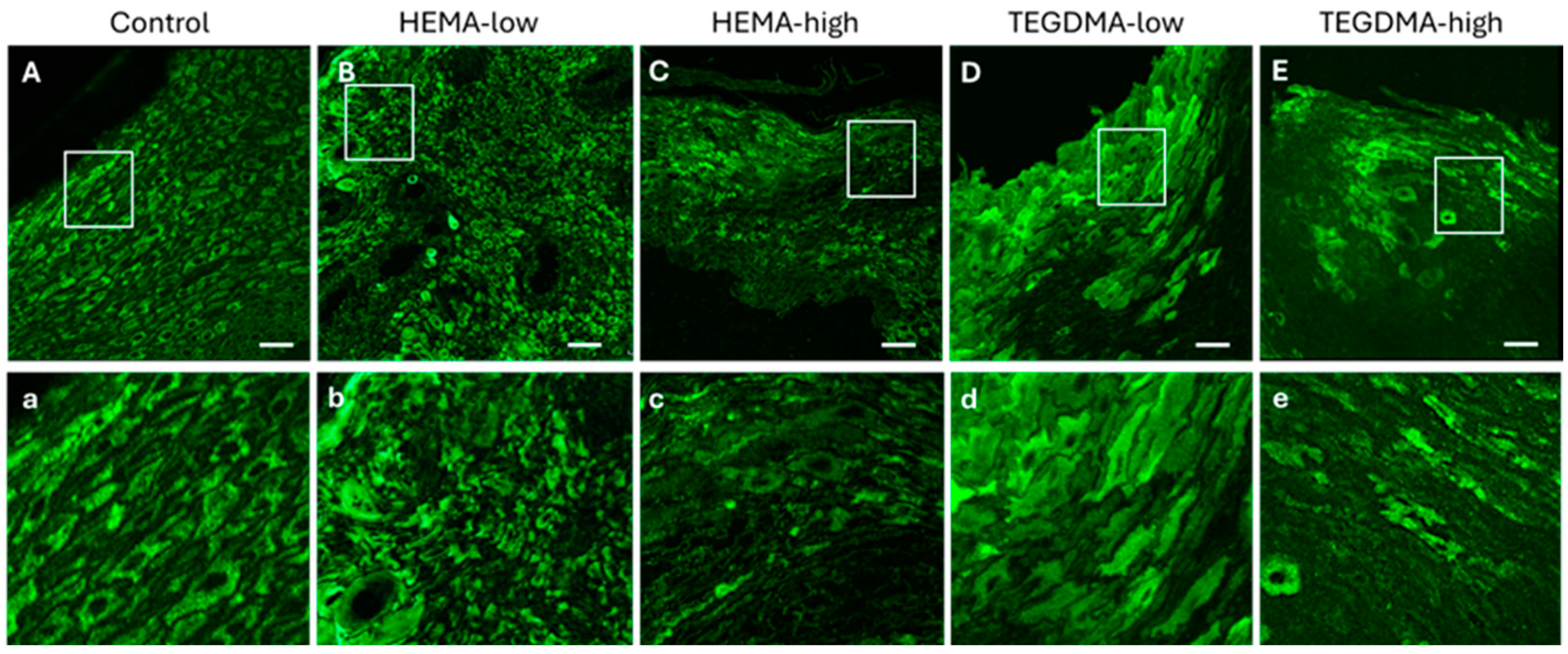Bioengineering 11 01035 g009
