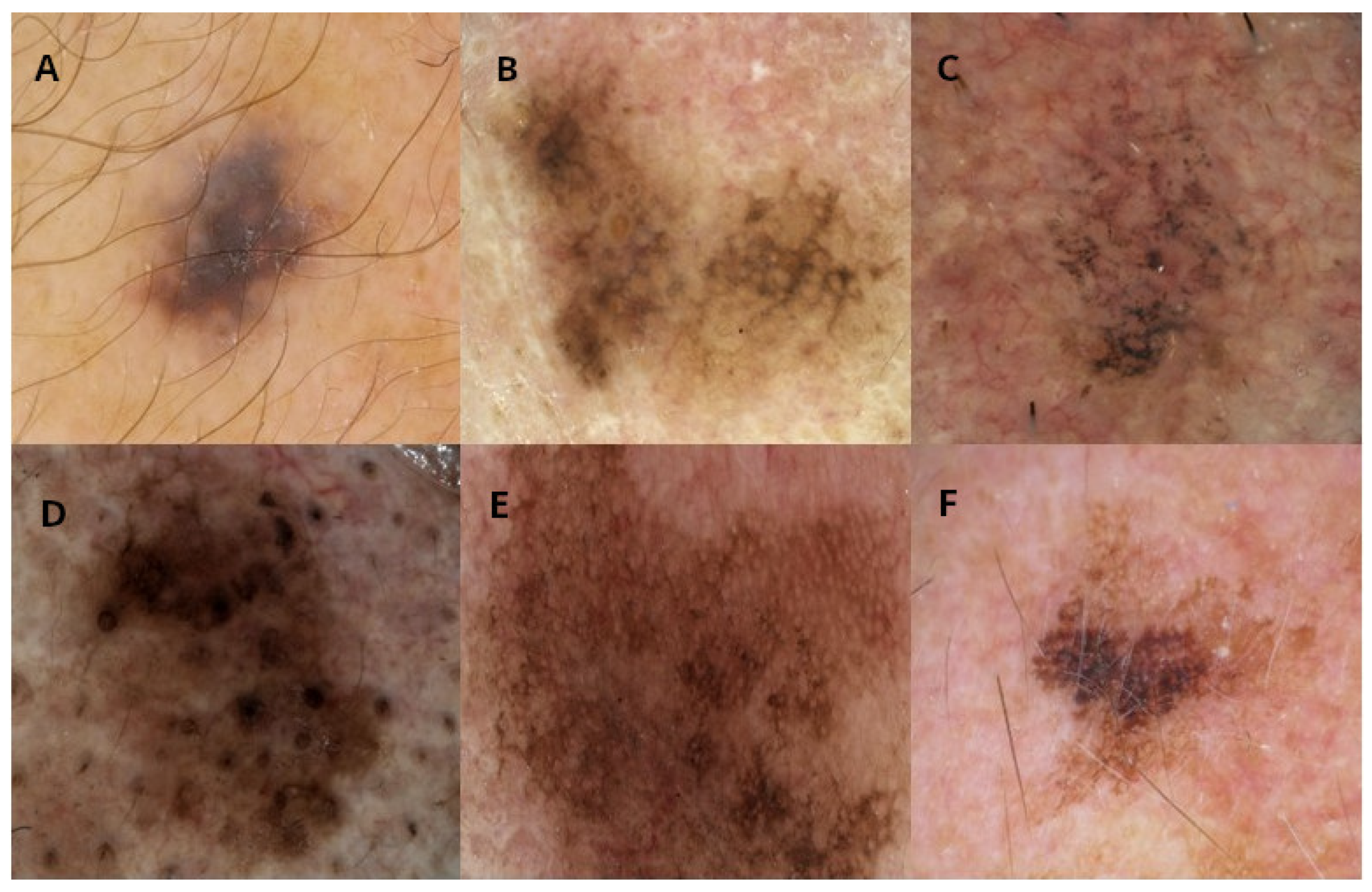 Bioengineering 11 01036 g001