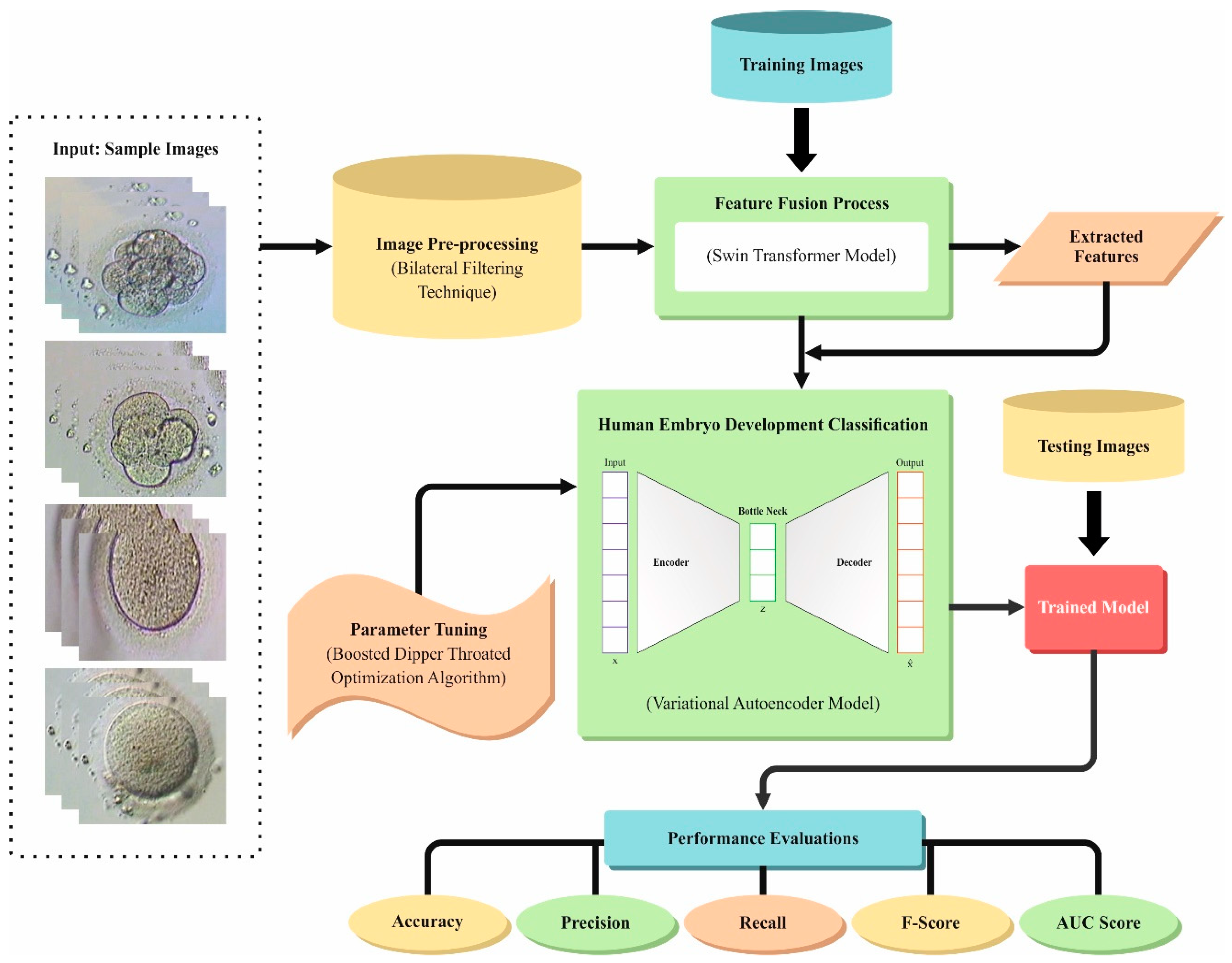 Bioengineering 11 01044 g001
