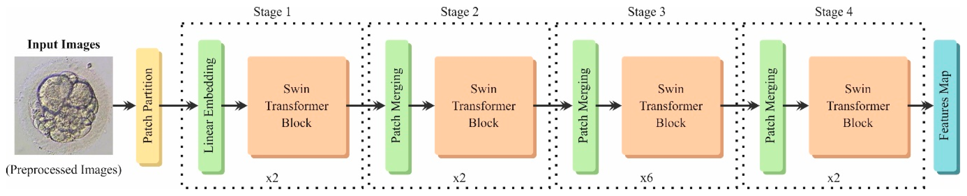 Bioengineering 11 01044 g003