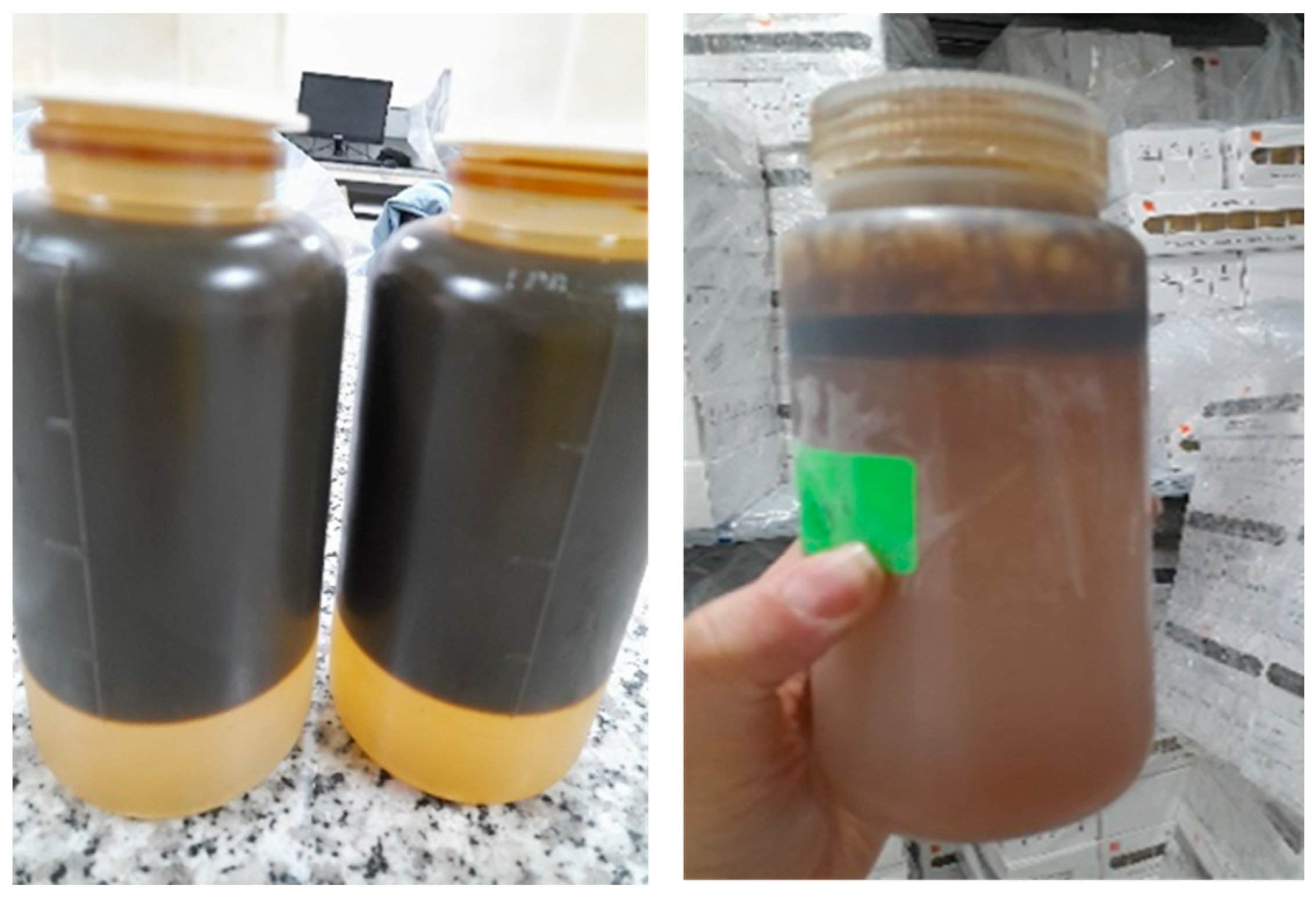 Bioengineering 11 01046 g001