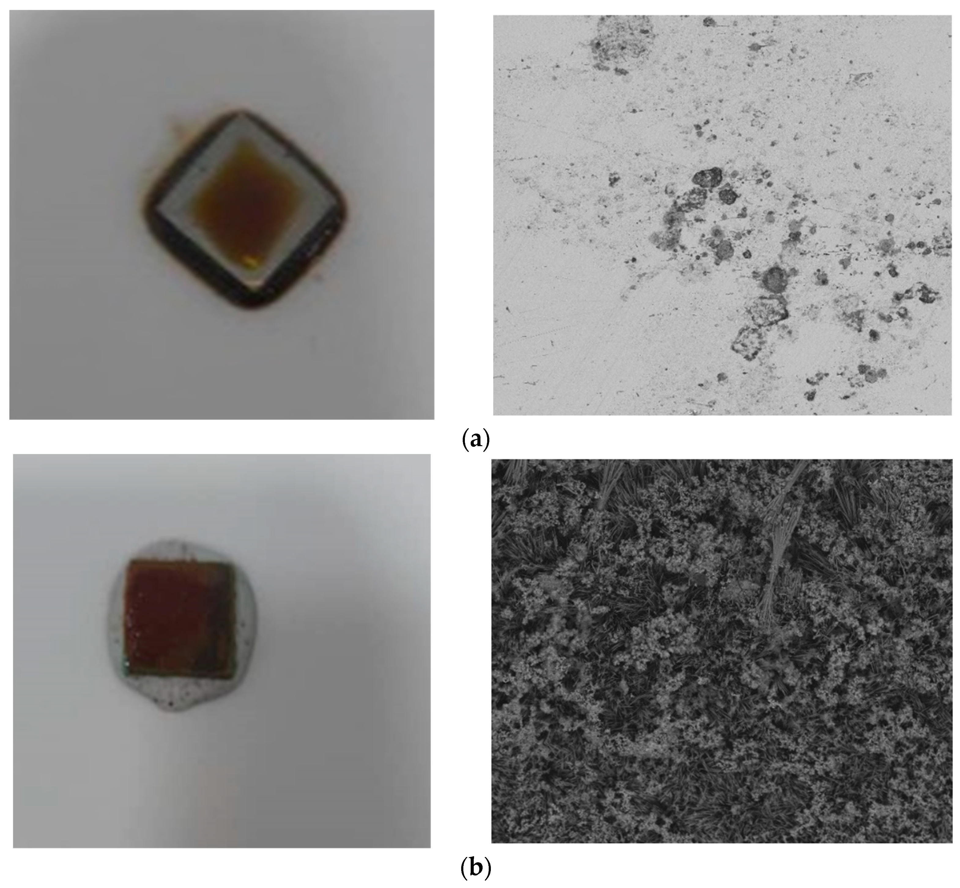 Bioengineering 11 01046 g006