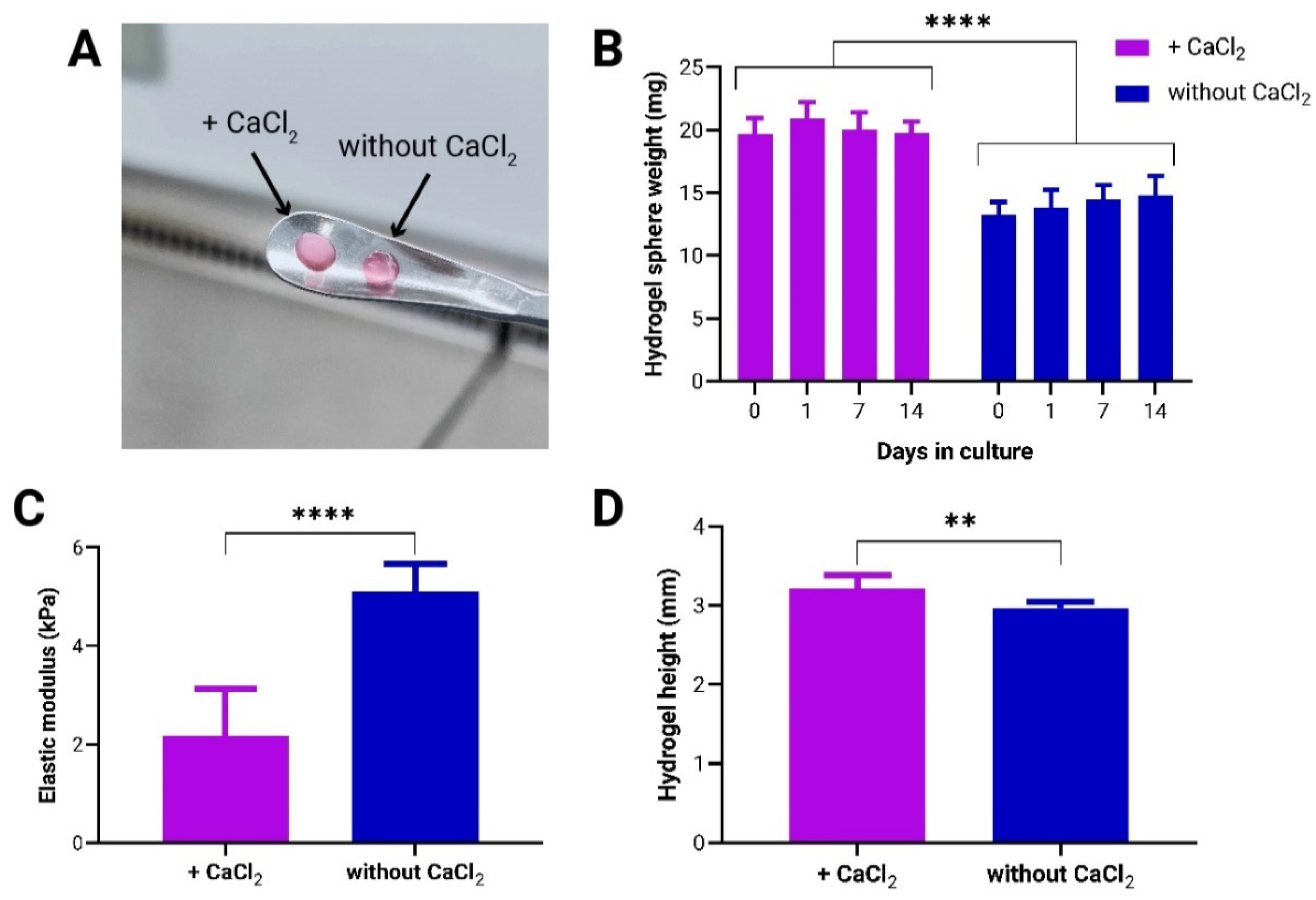 Bioengineering 11 01050 g001