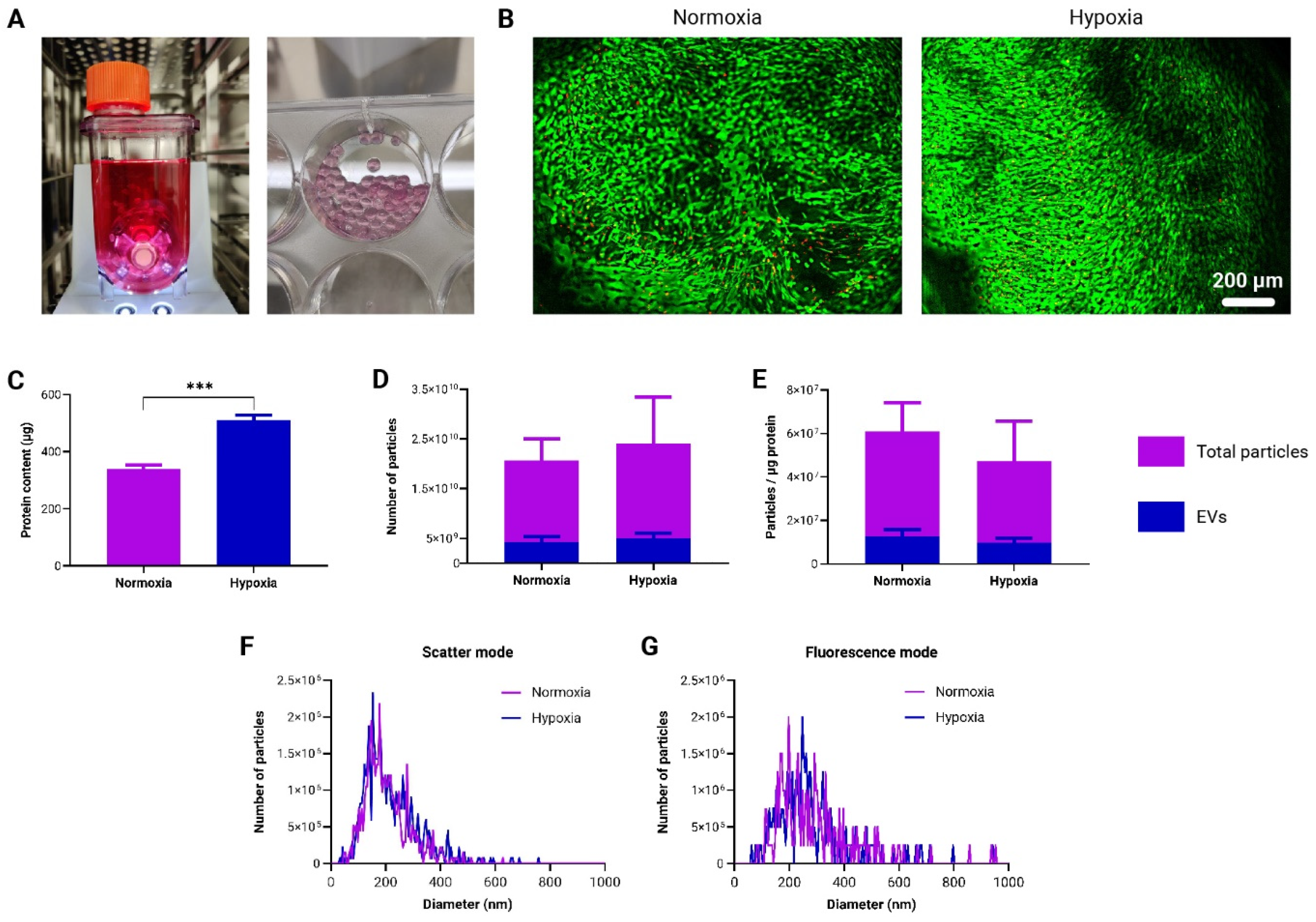 Bioengineering 11 01050 g006