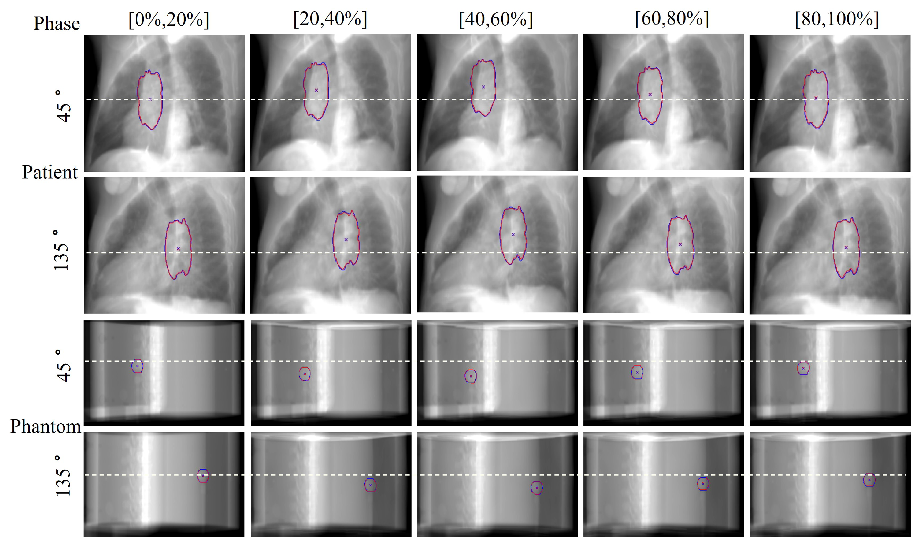 Bioengineering 11 01051 g005