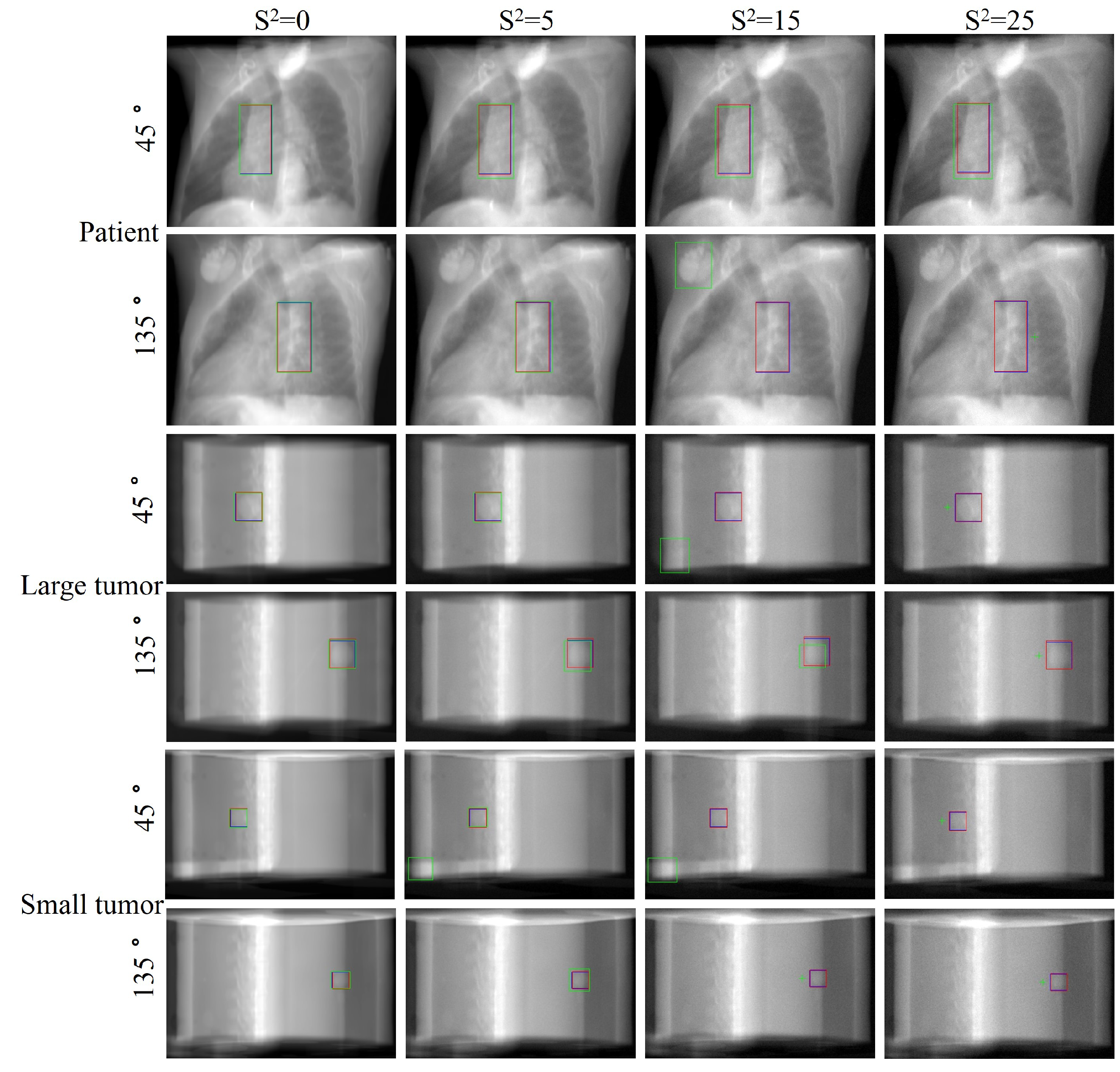 Bioengineering 11 01051 g008