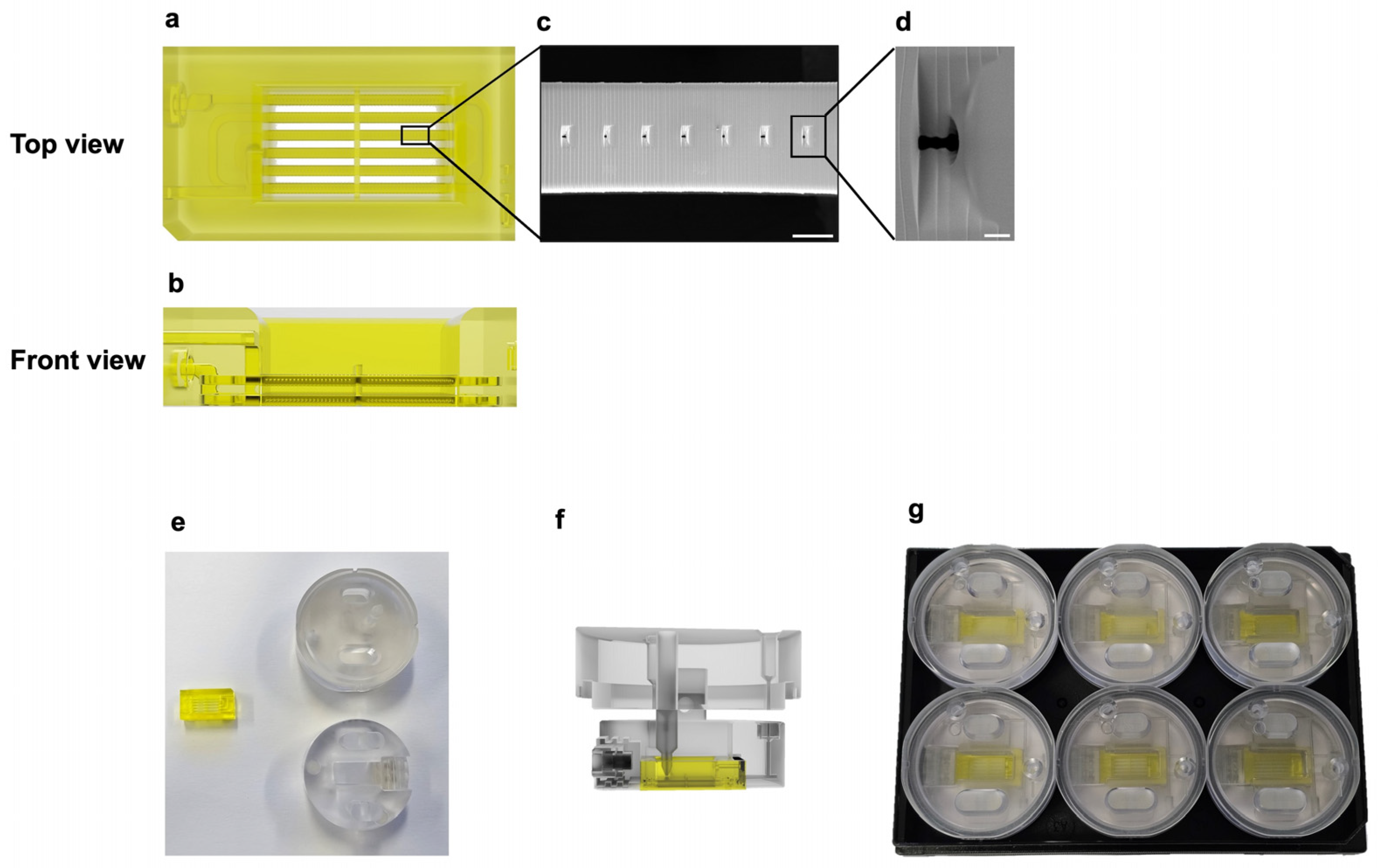 Bioengineering 11 01055 g001