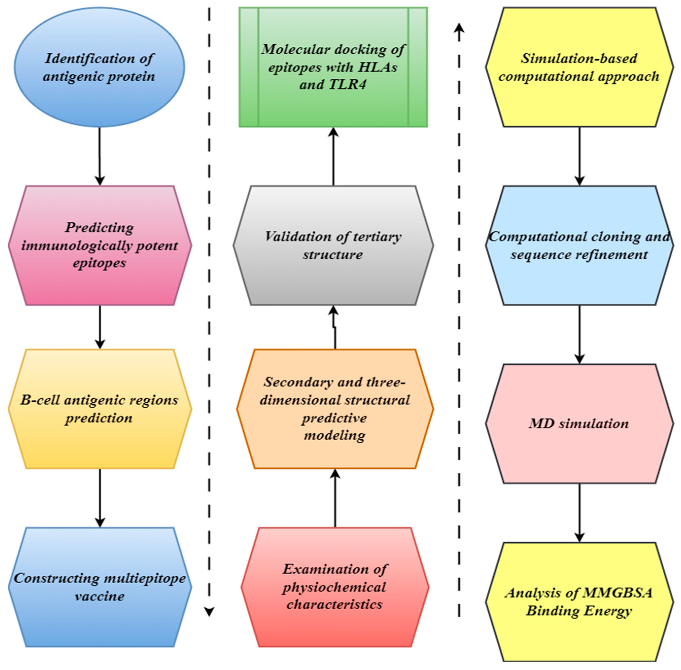 Bioengineering 11 01056 g001
