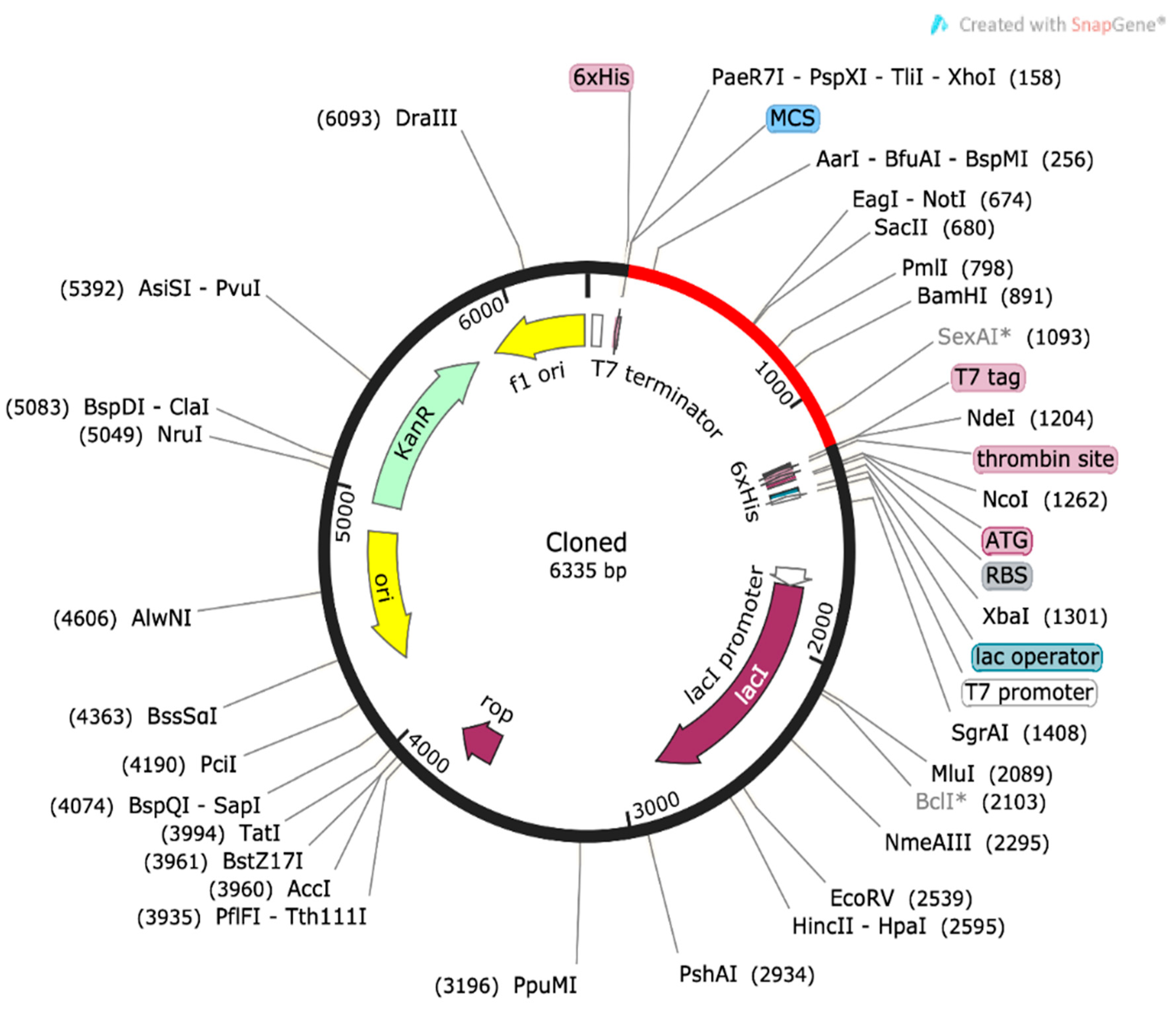 Bioengineering 11 01056 g007