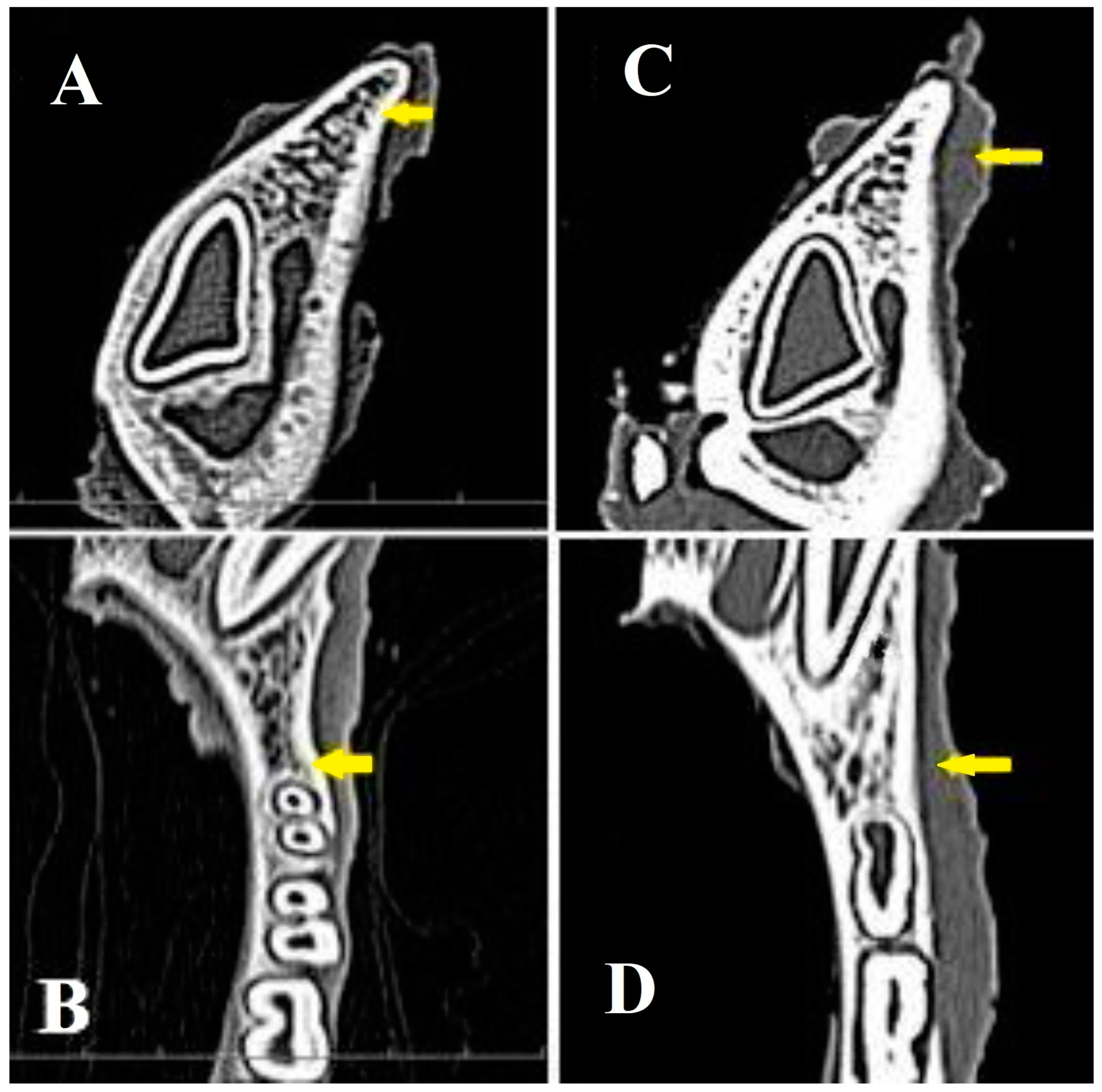 Bioengineering 11 01057 g007