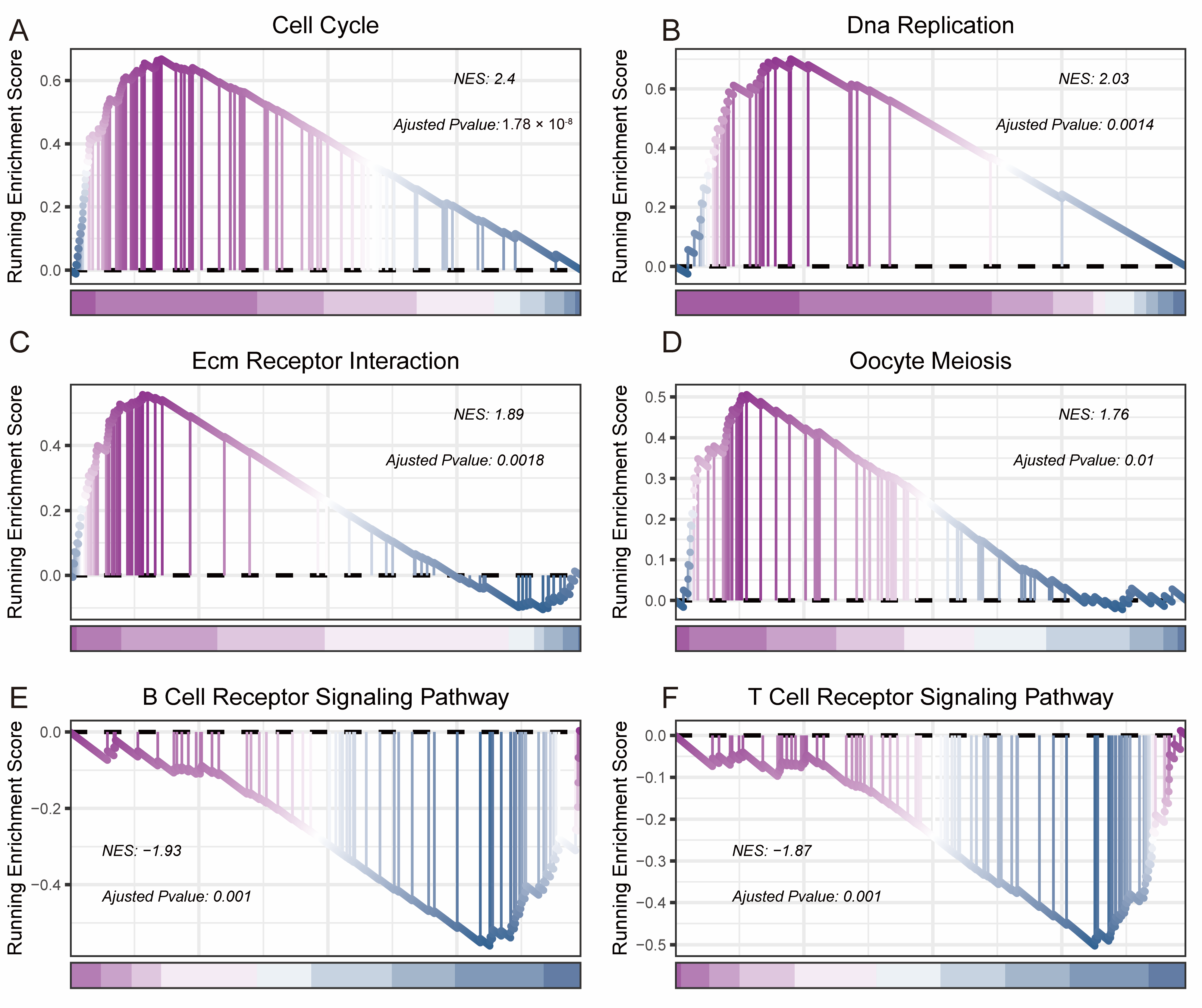 Bioengineering 11 01070 g005