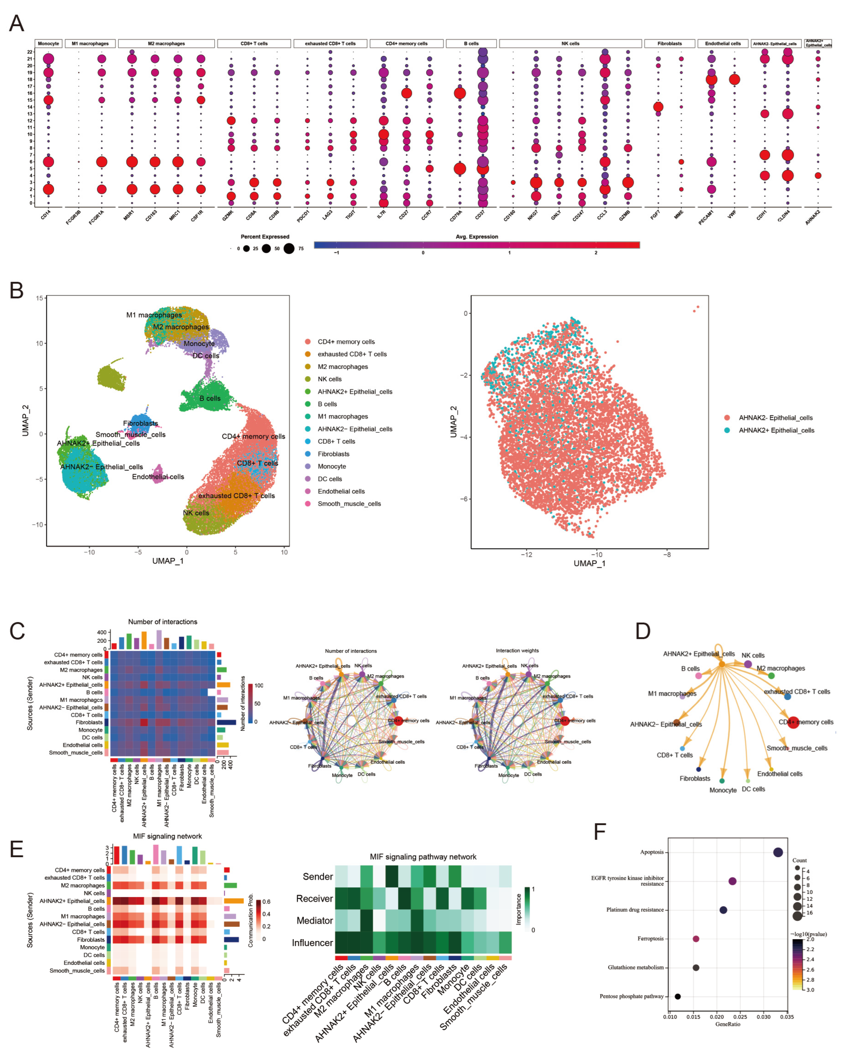 Bioengineering 11 01070 g010