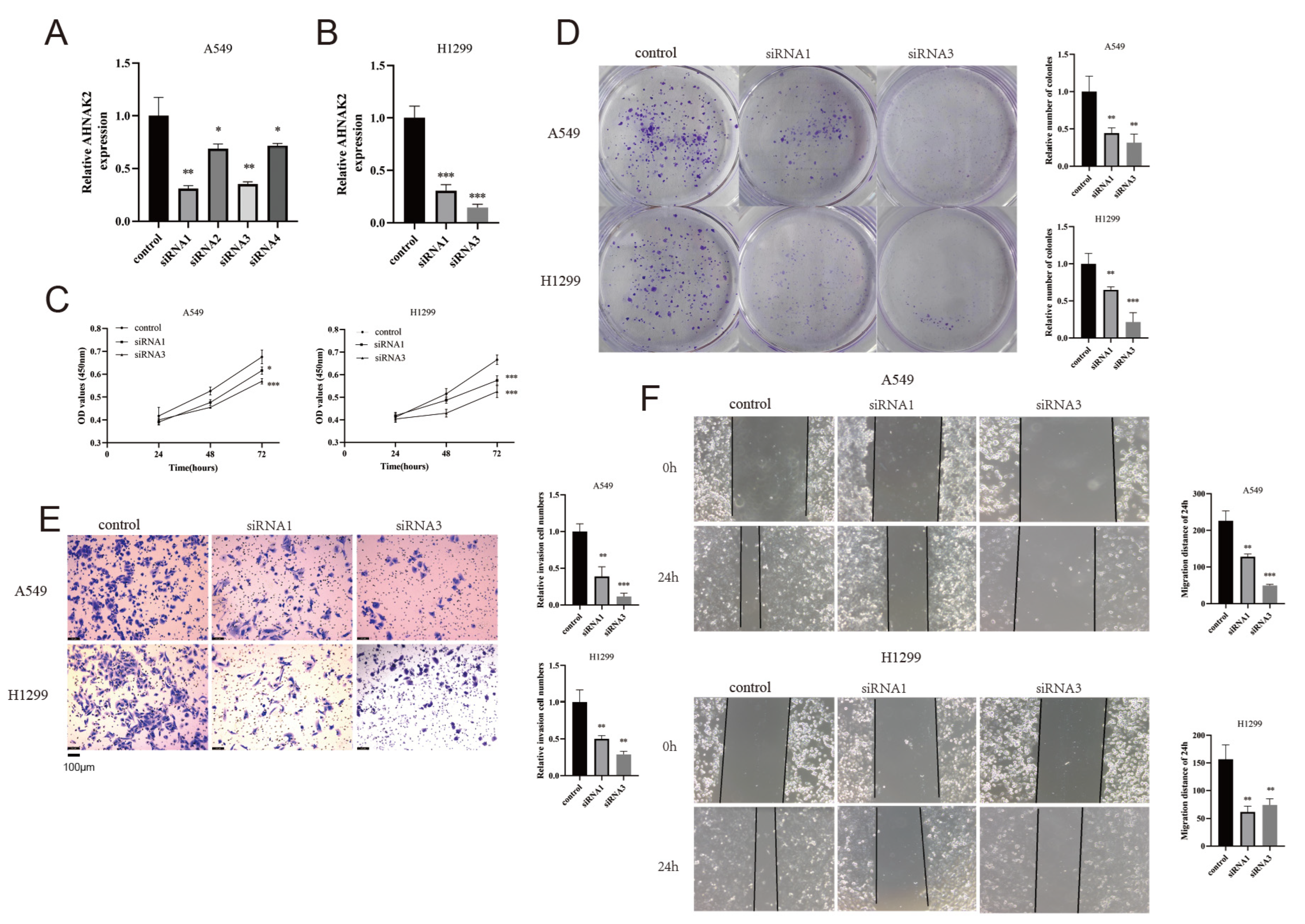 Bioengineering 11 01070 g012