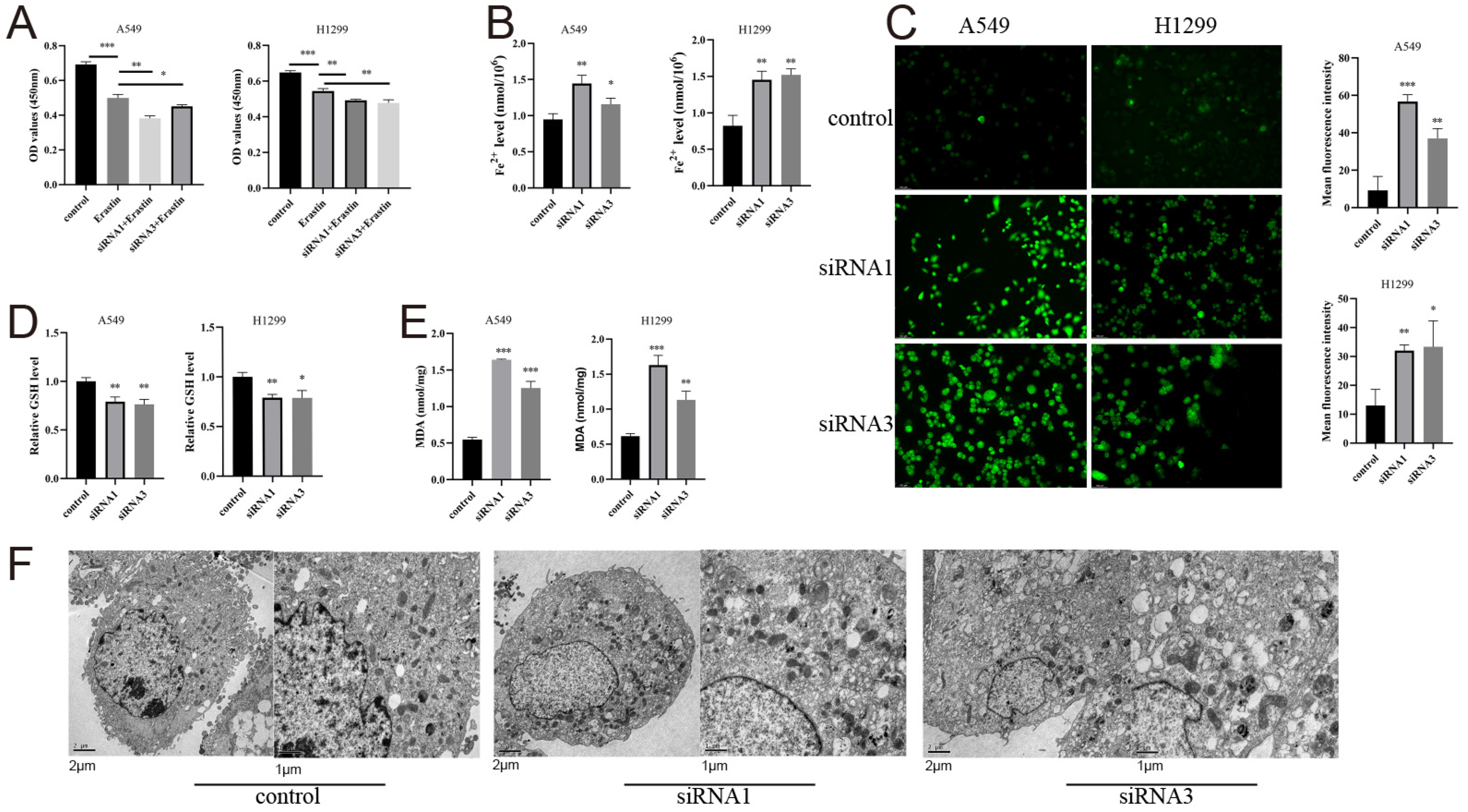 Bioengineering 11 01070 g013