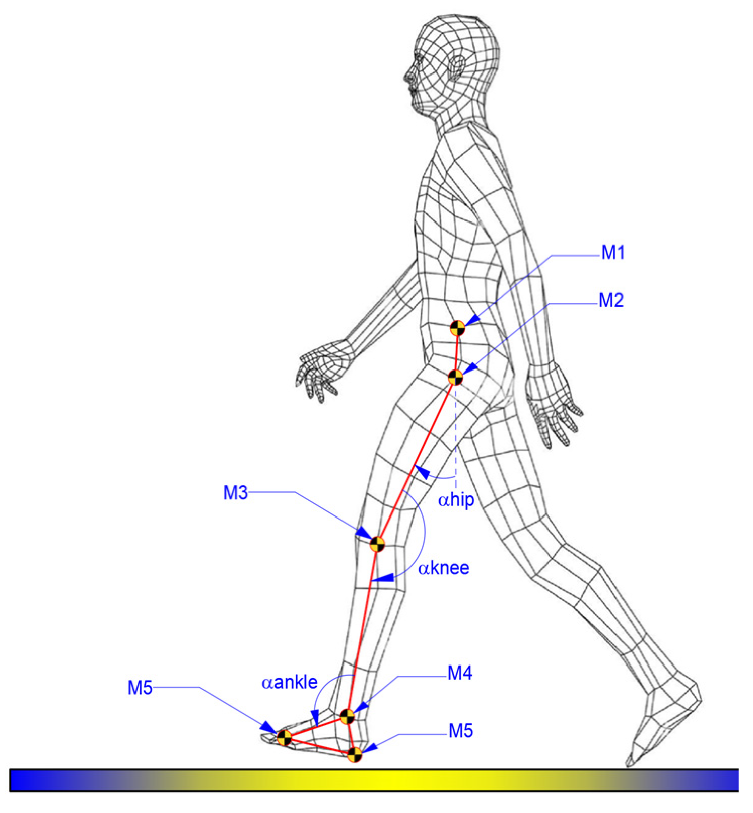 Bioengineering 11 01072 g001