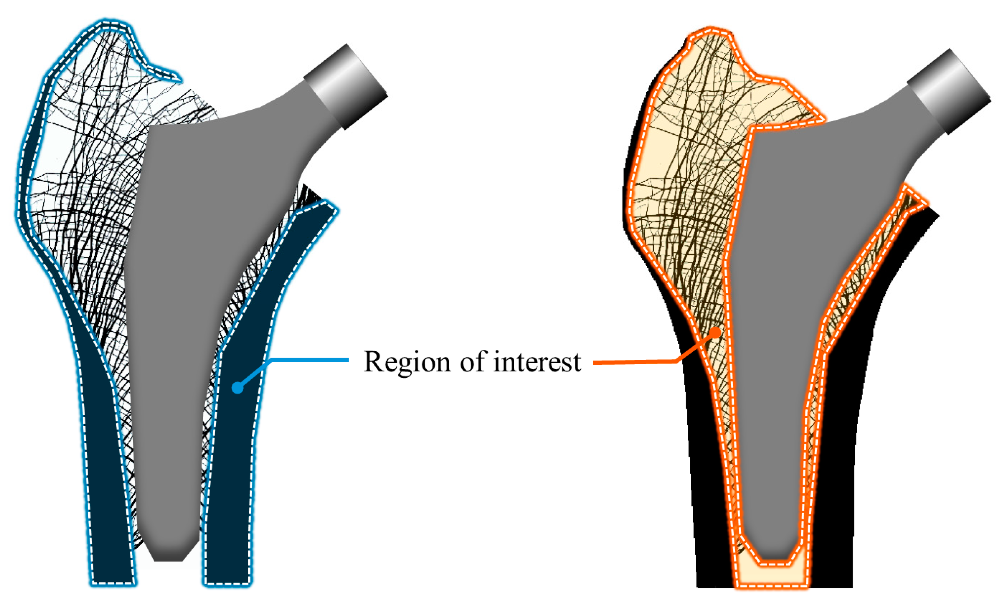 Bioengineering 11 01074 g003