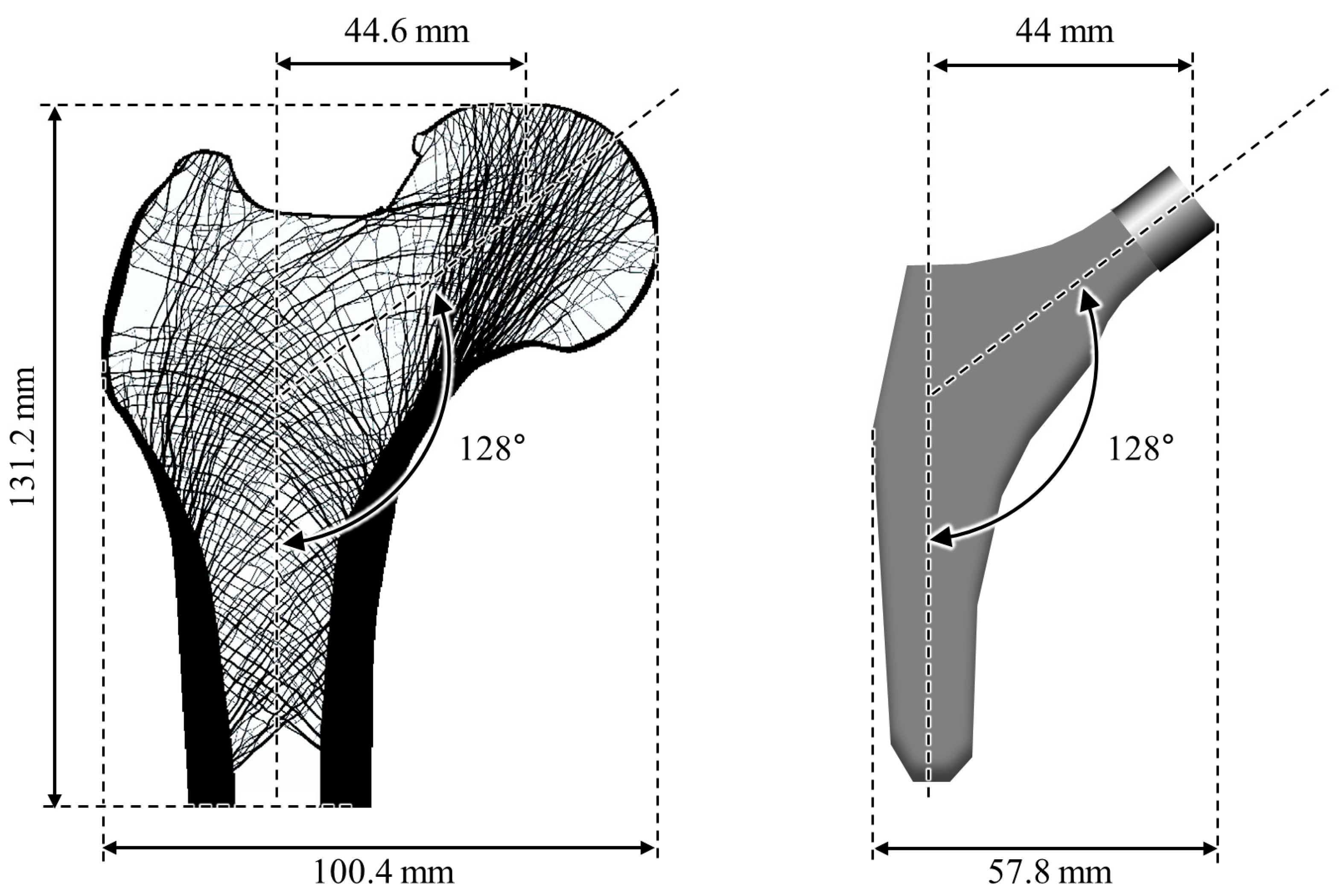 Bioengineering 11 01074 g004