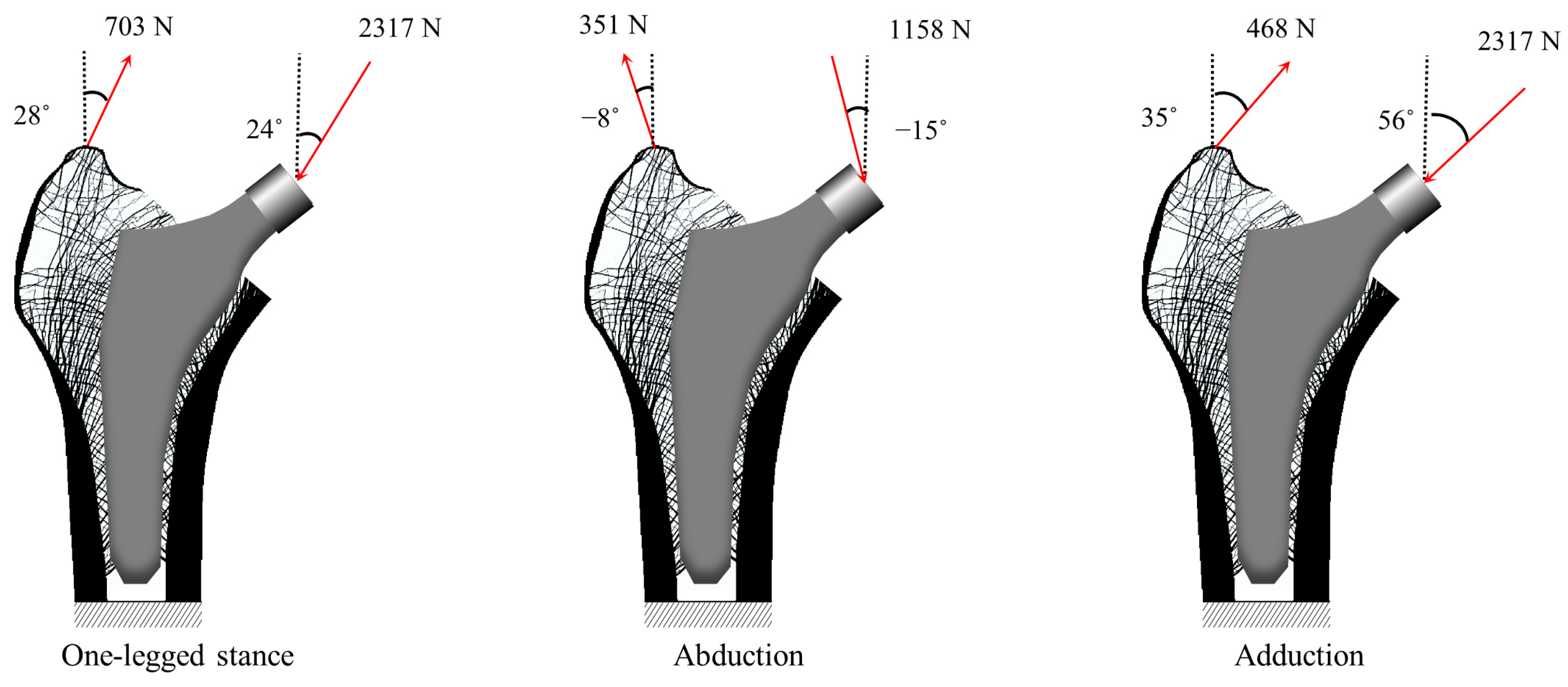 Bioengineering 11 01074 g005