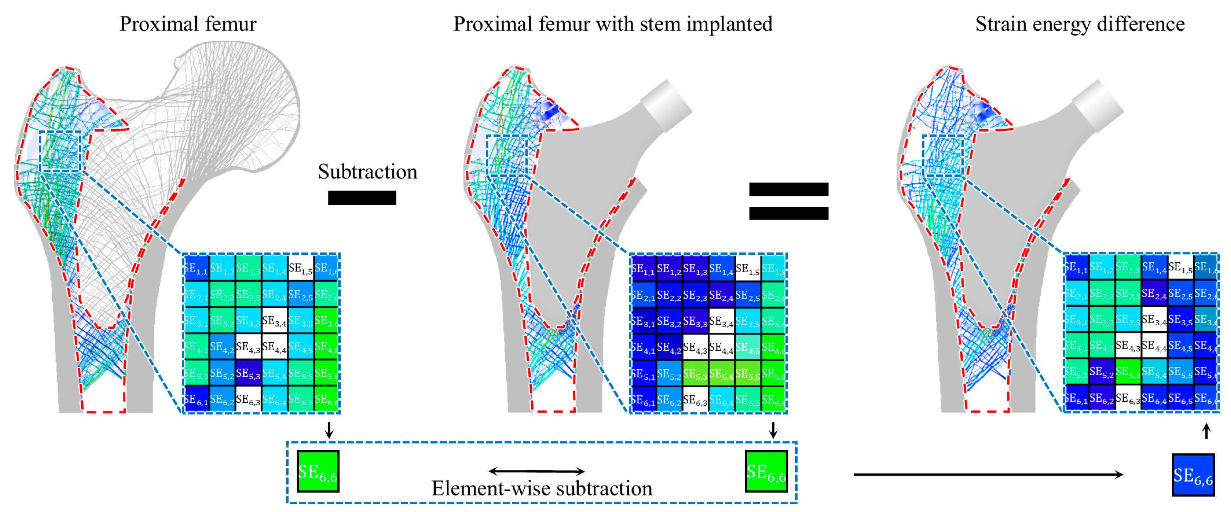 Bioengineering 11 01074 g006