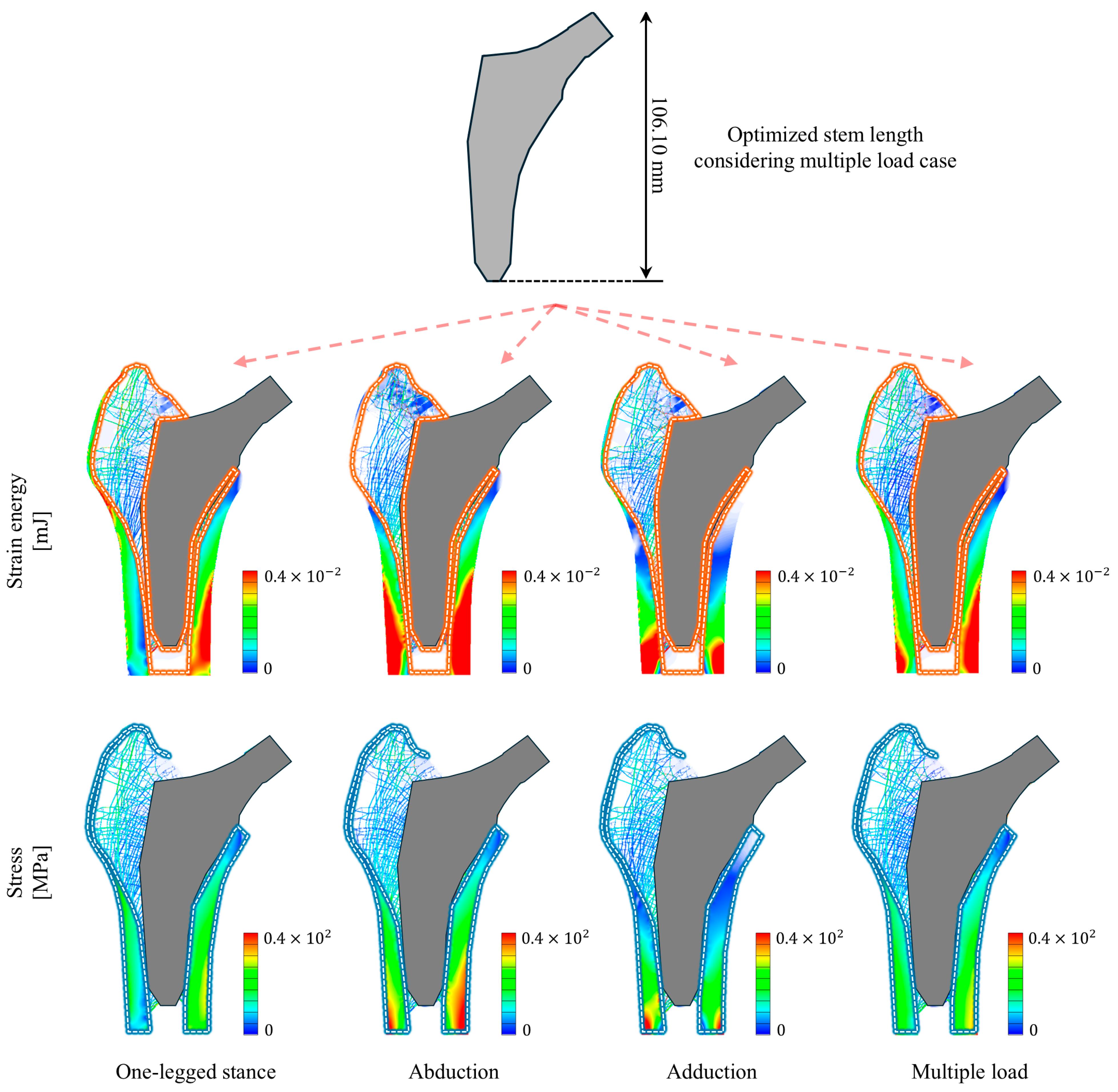 Bioengineering 11 01074 g007