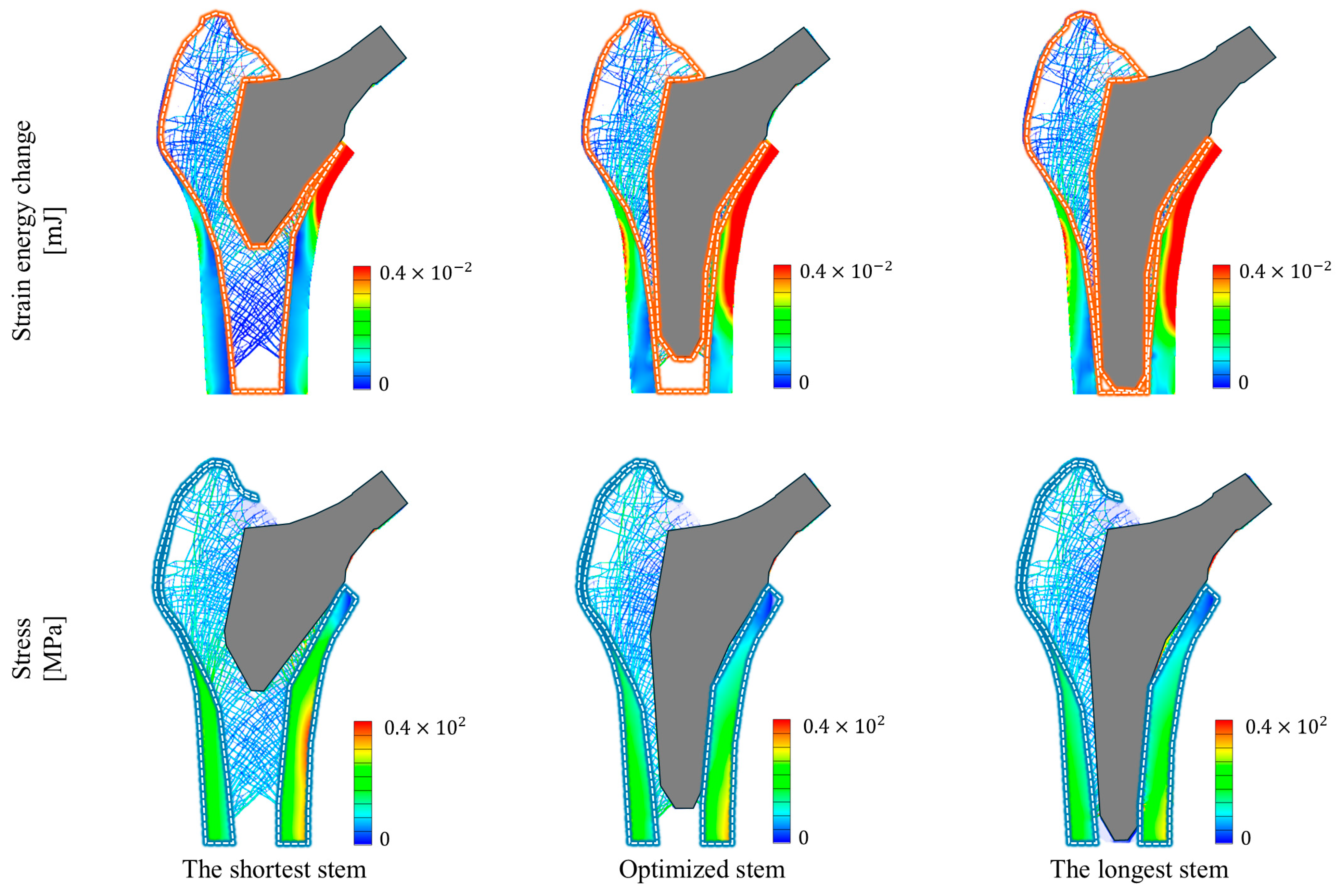 Bioengineering 11 01074 g008